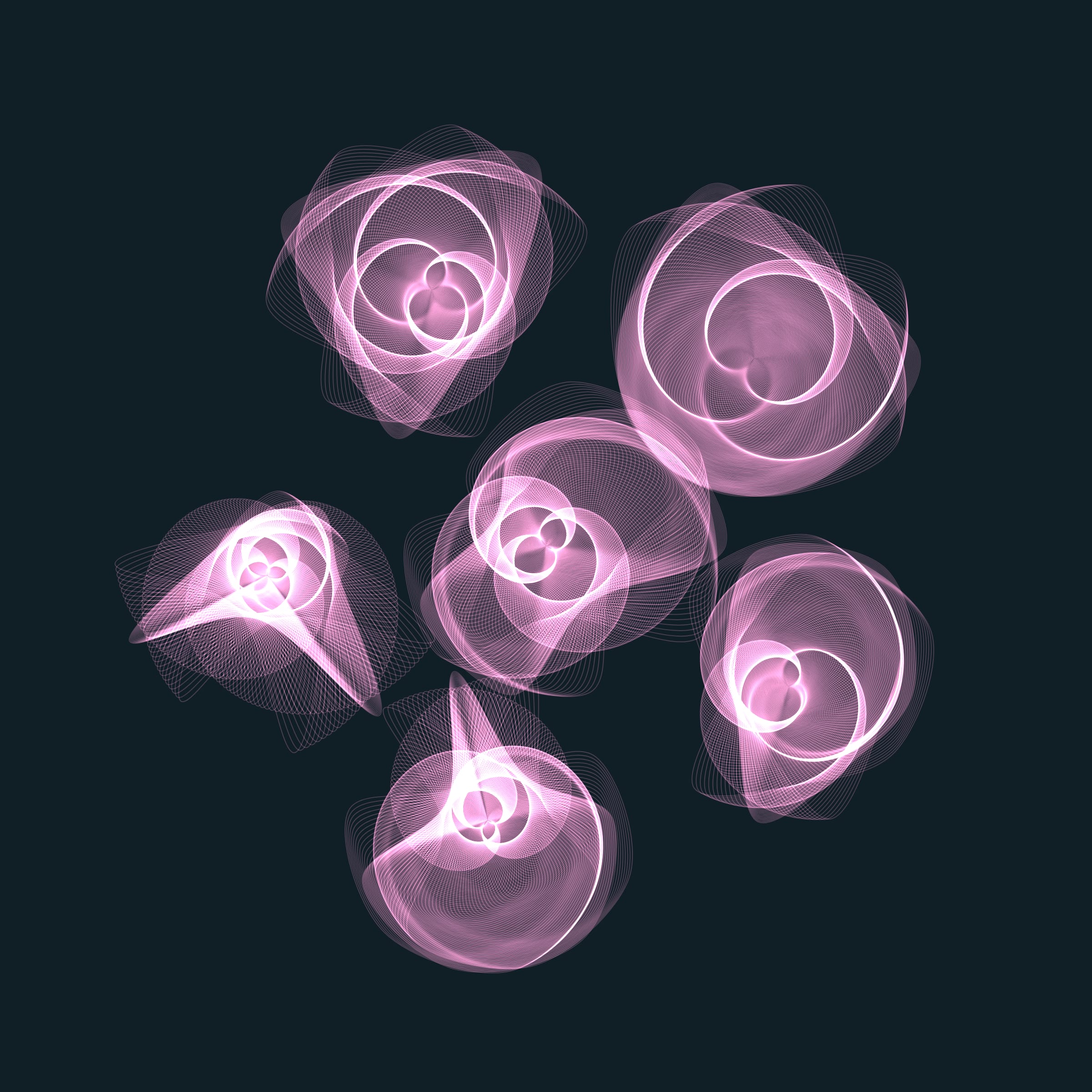 Flowers #116005307