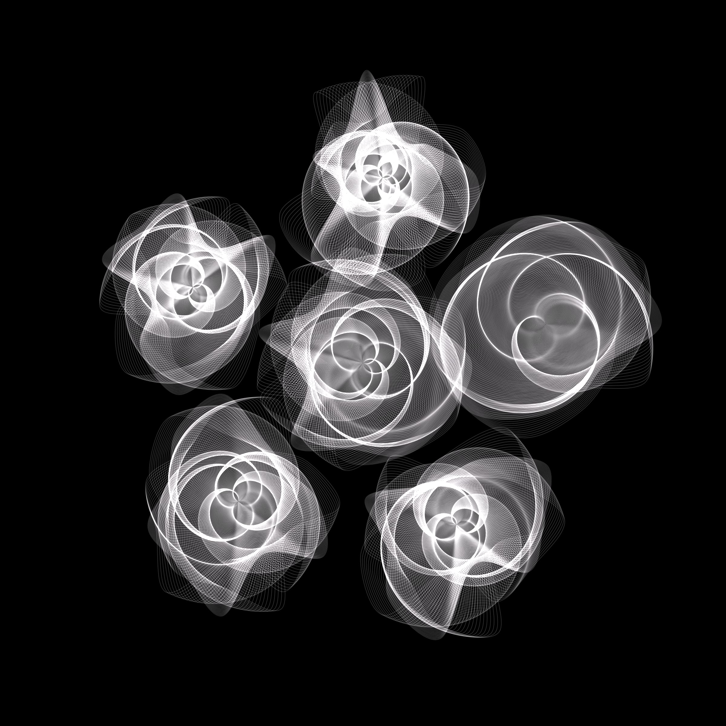 Flowers #116005534