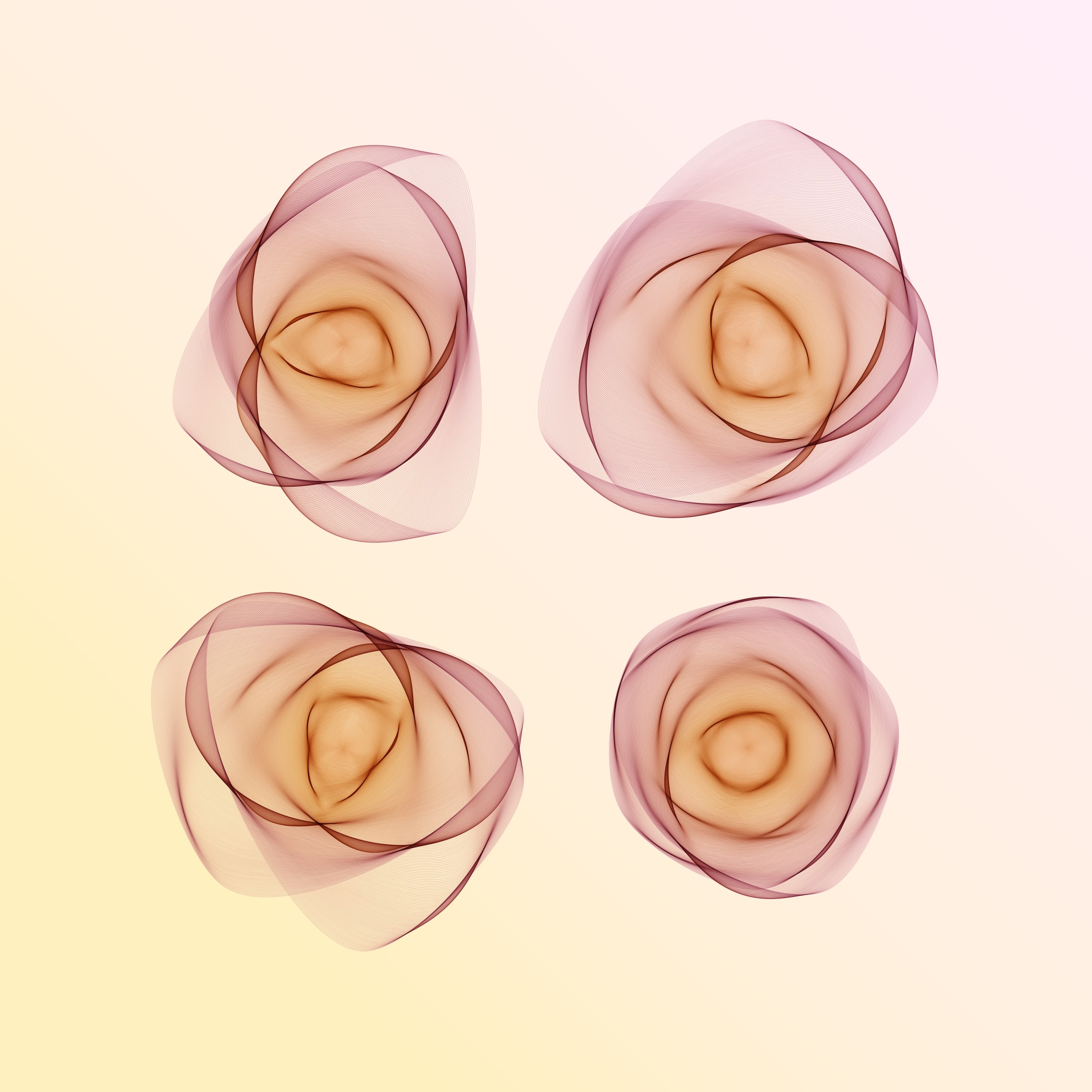 Flowers #116005541
