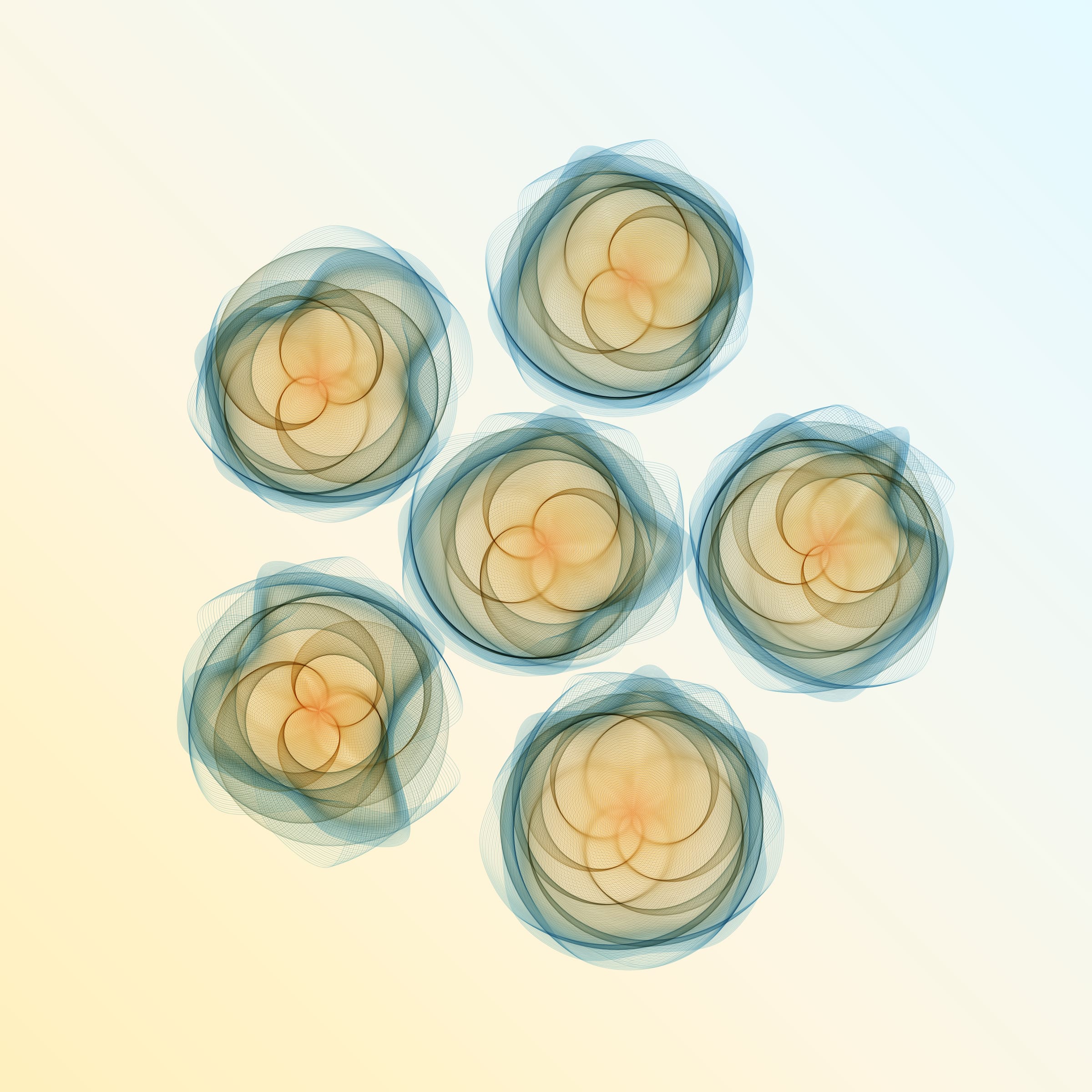 Flowers #116005542