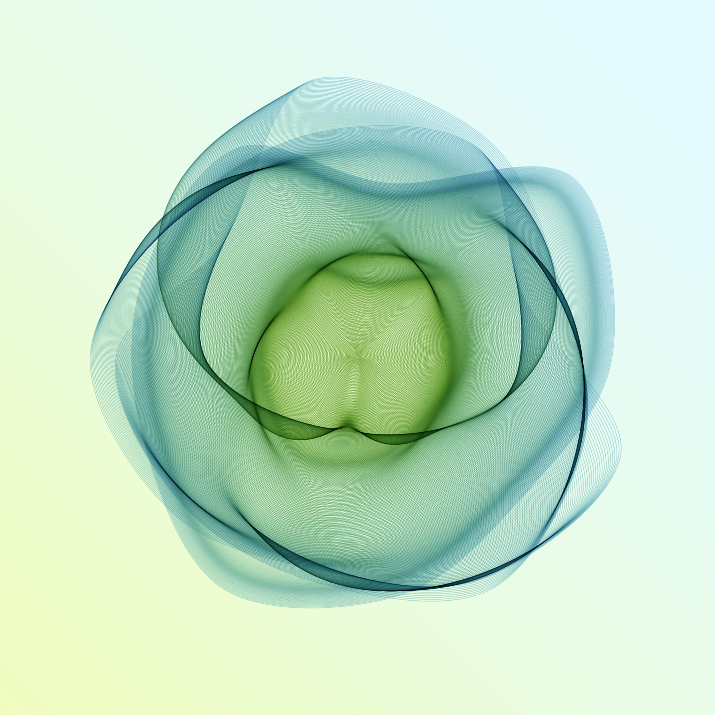 Flowers #116005557