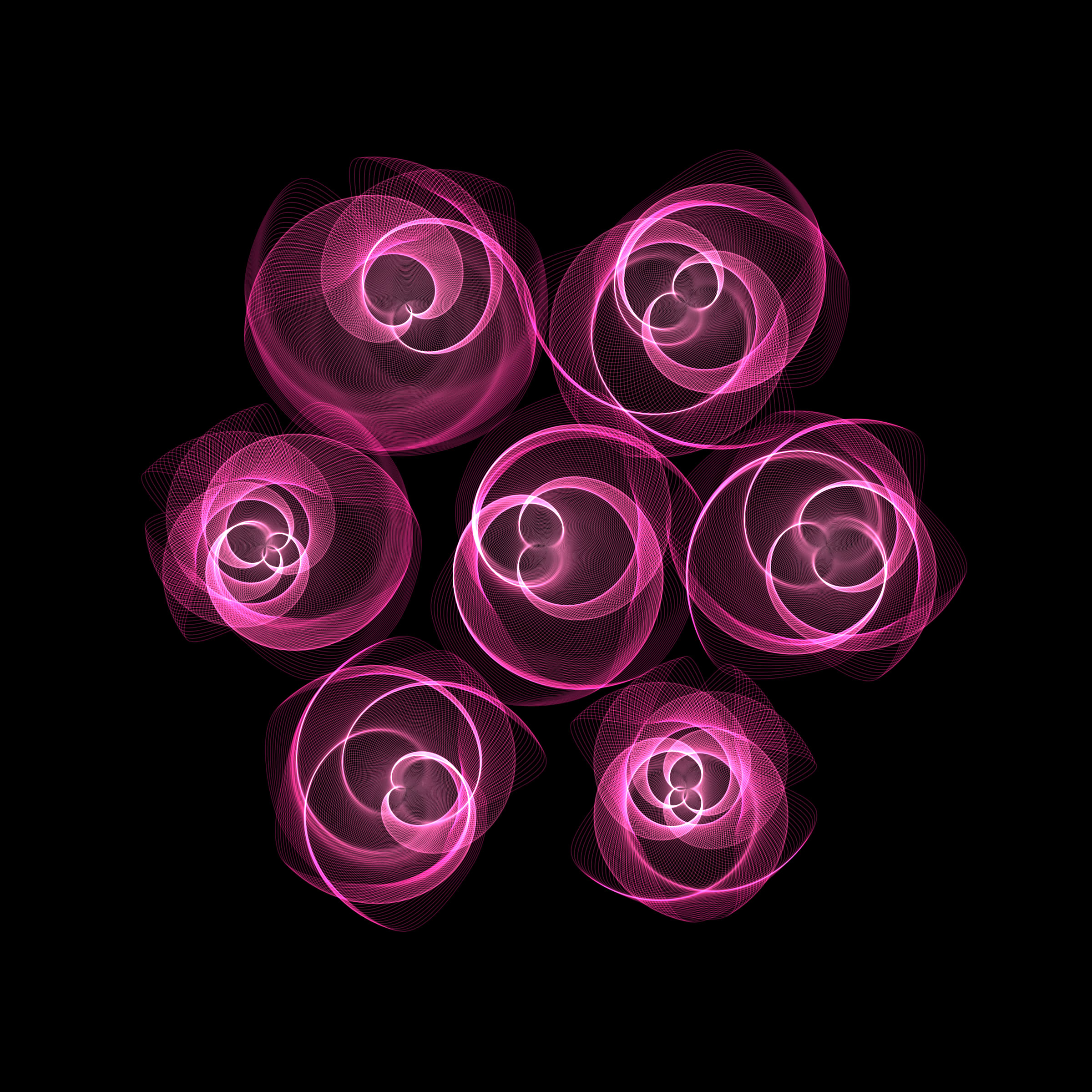 Flowers #116005600