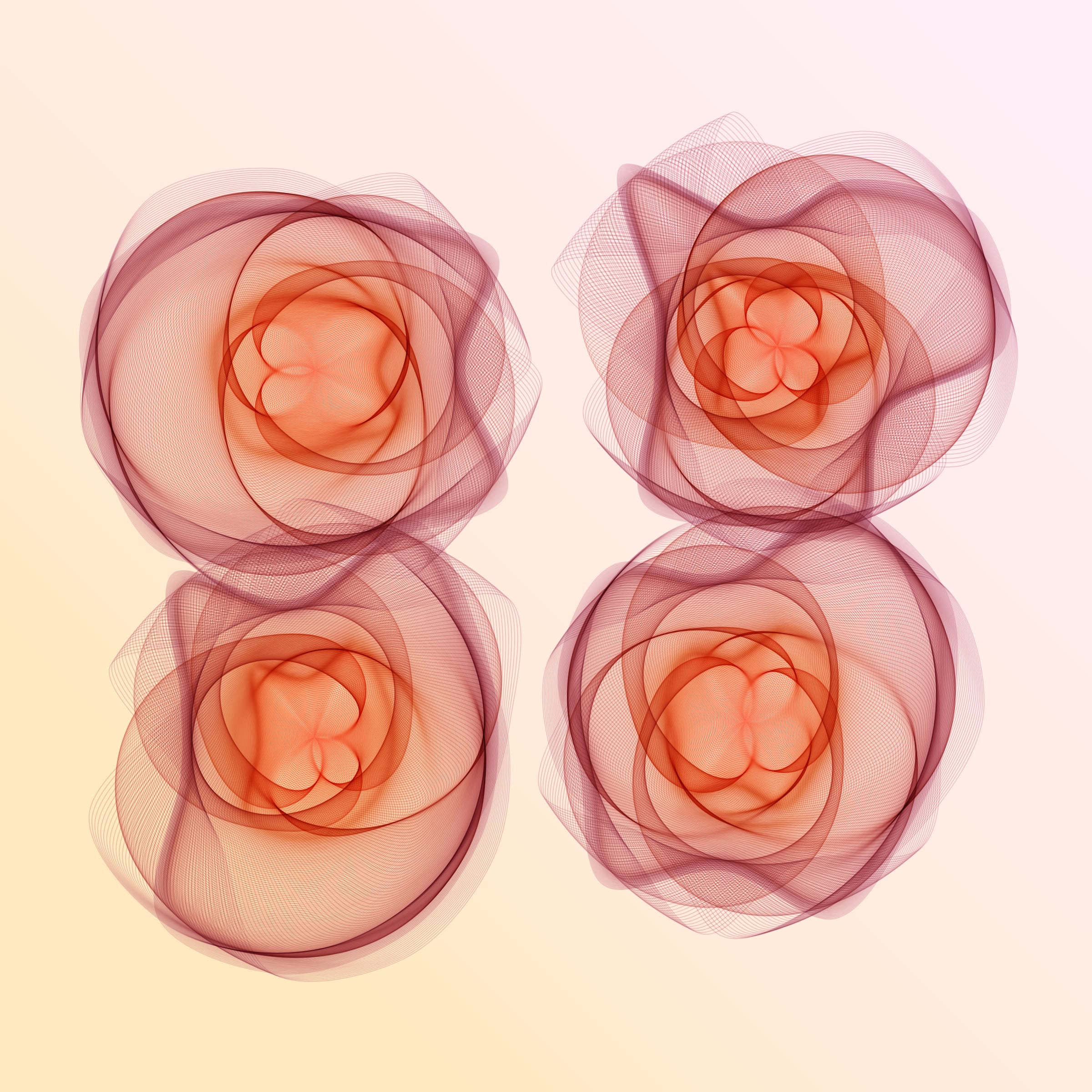 Flowers #116005620