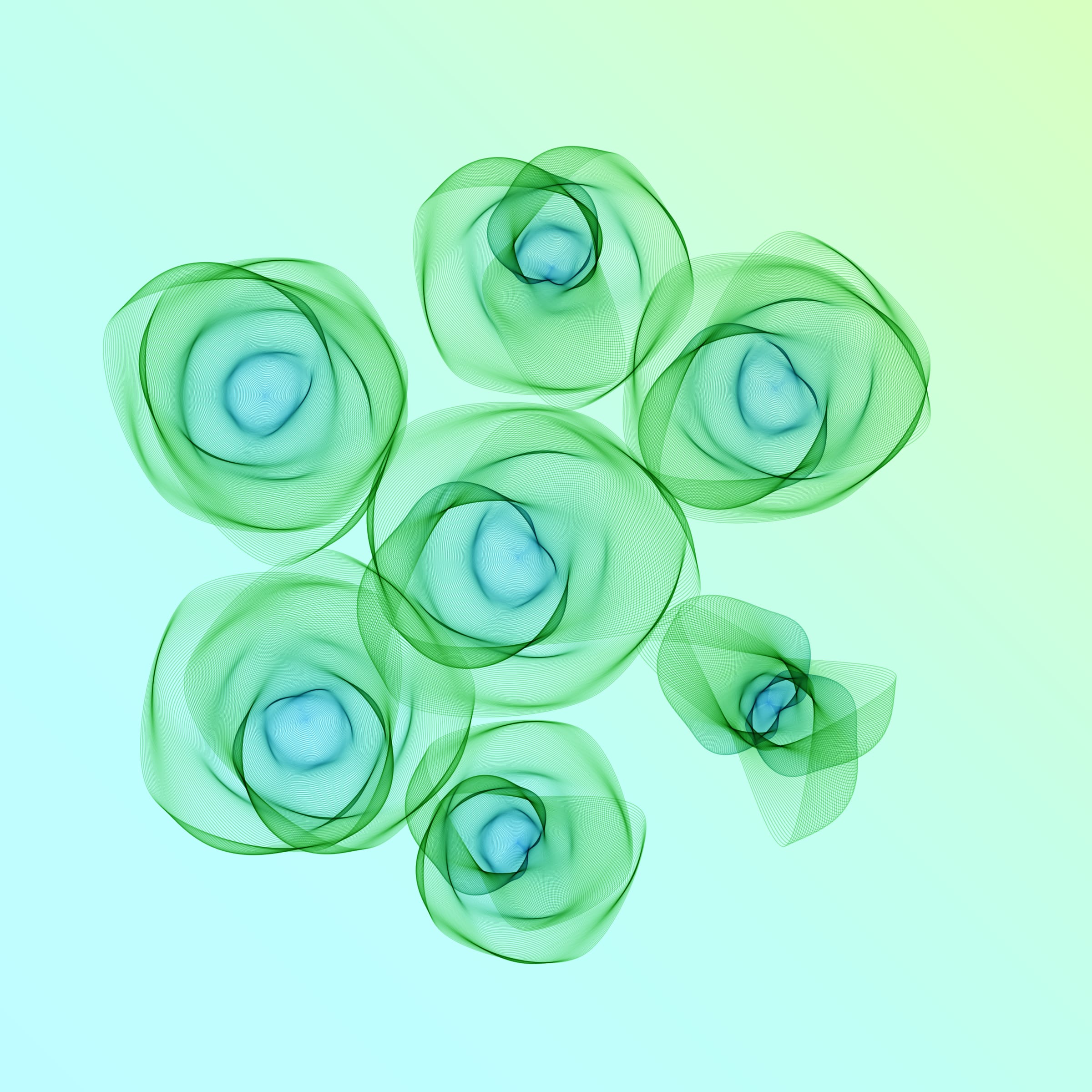 Flowers #116005666