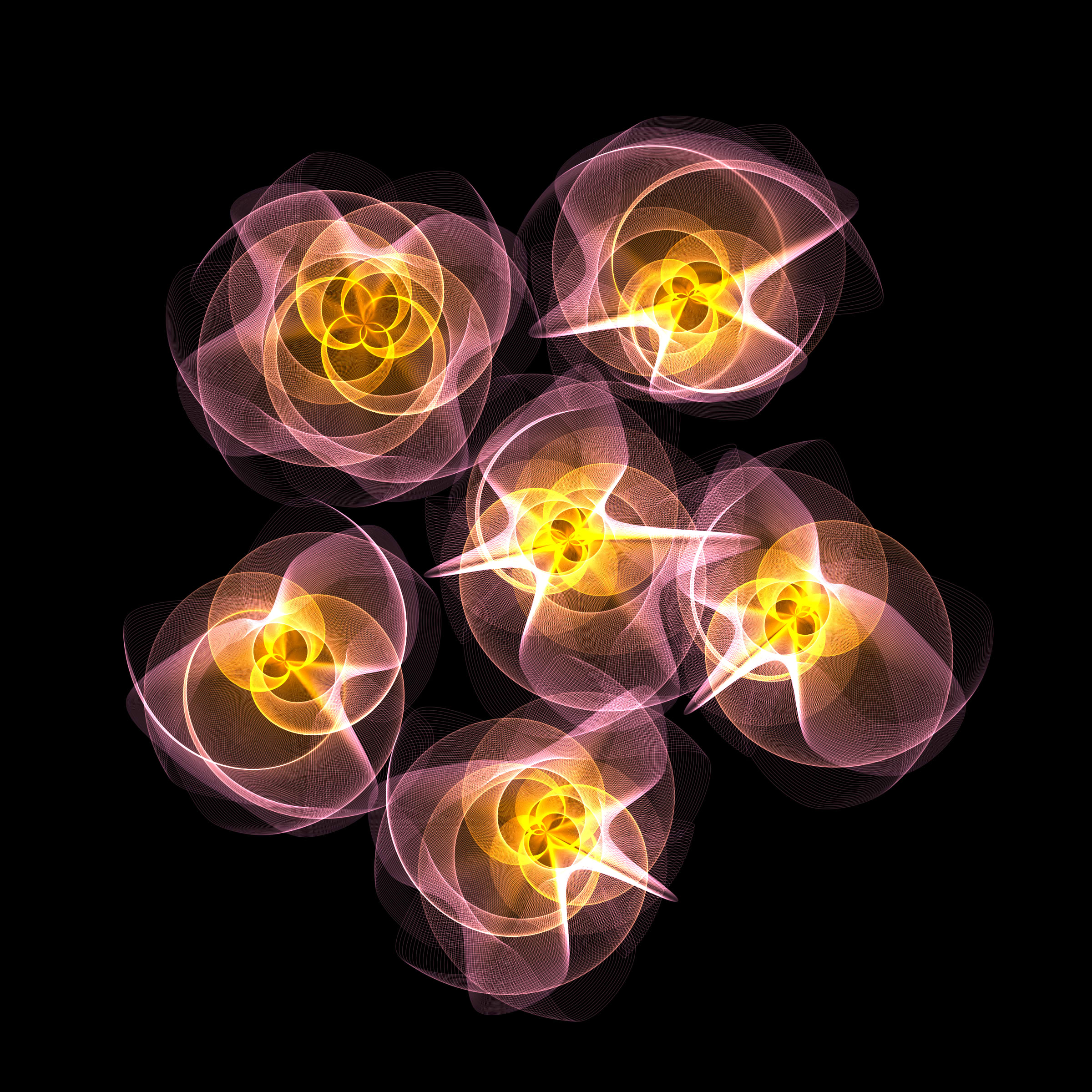 Flowers #116005720