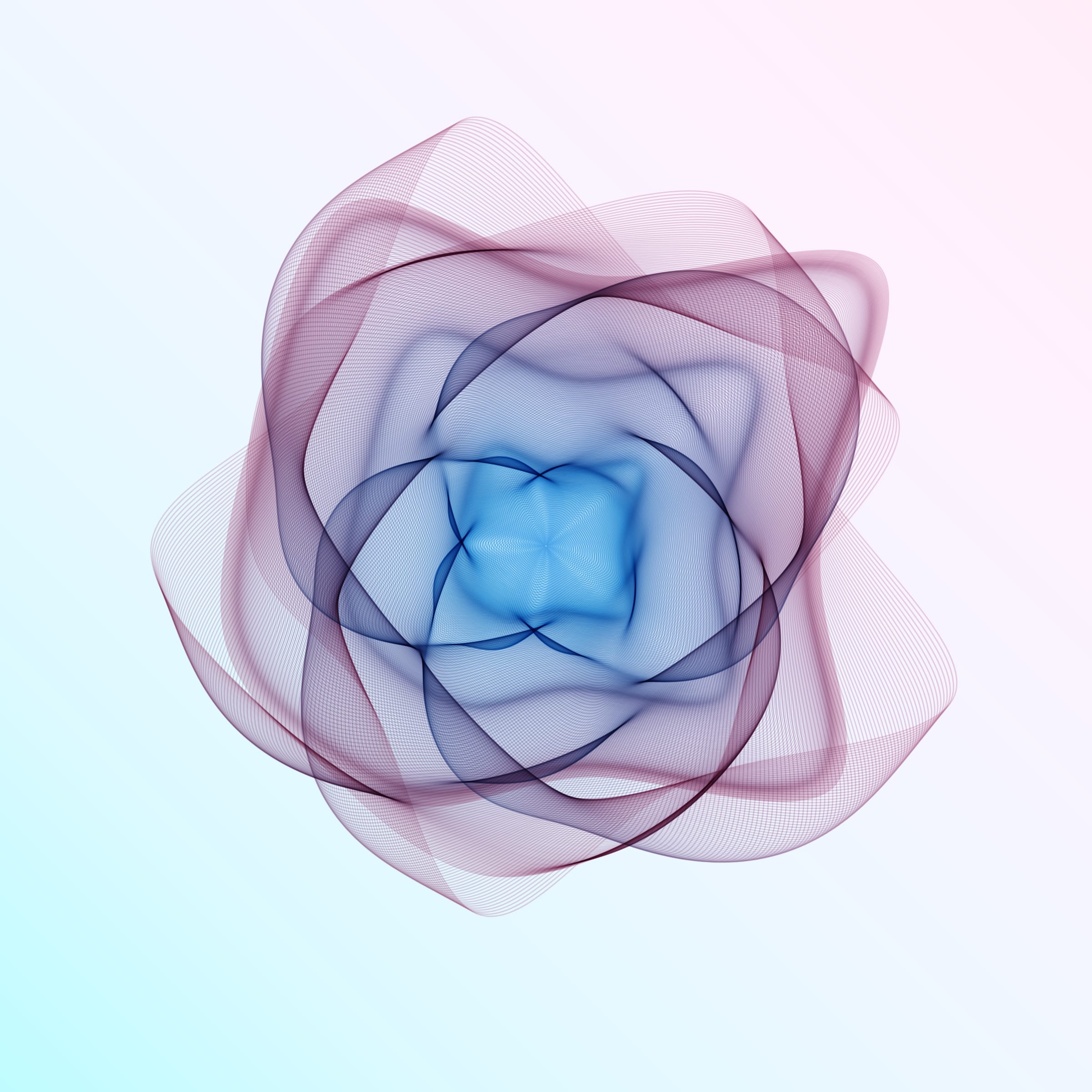 Flowers #116005850