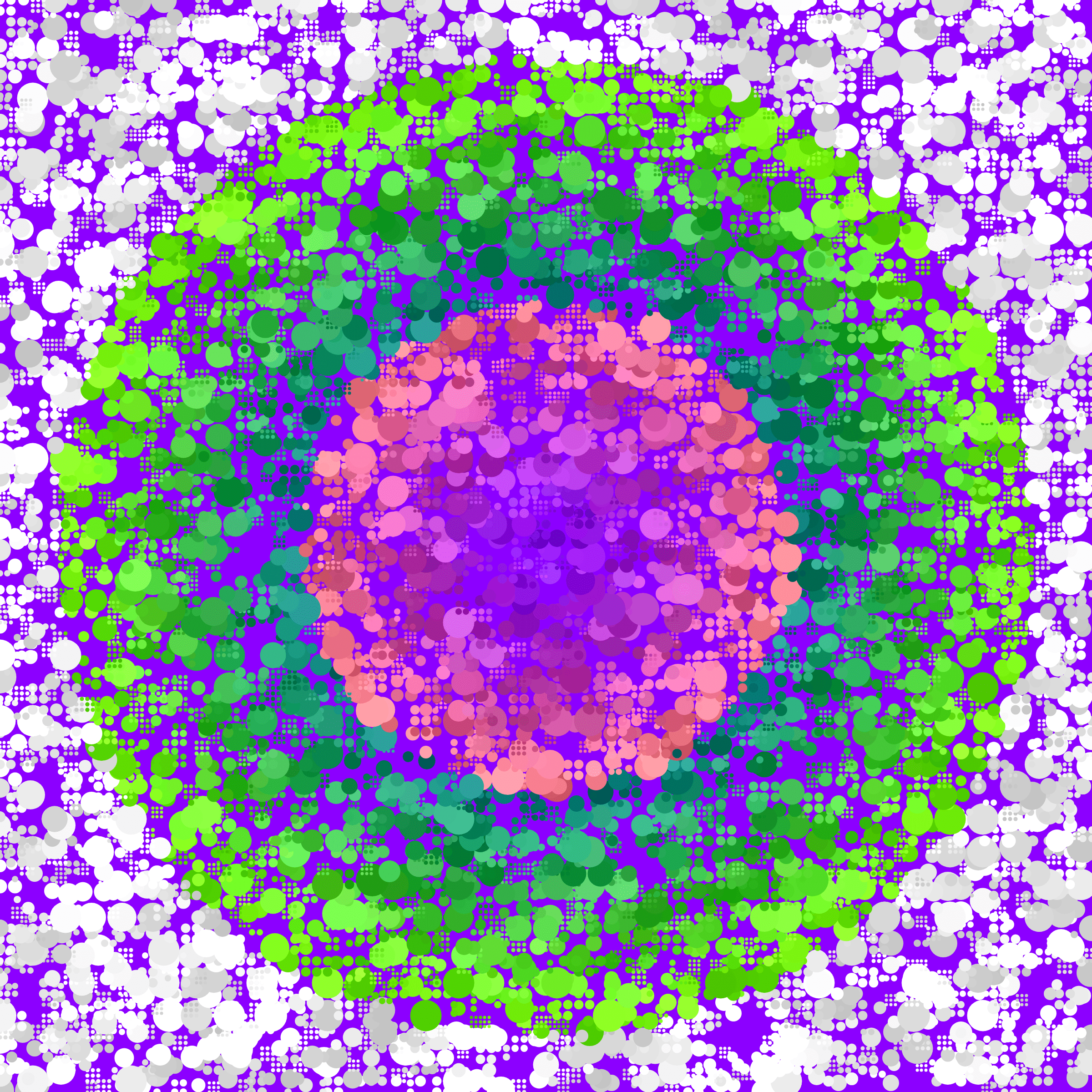 149000208