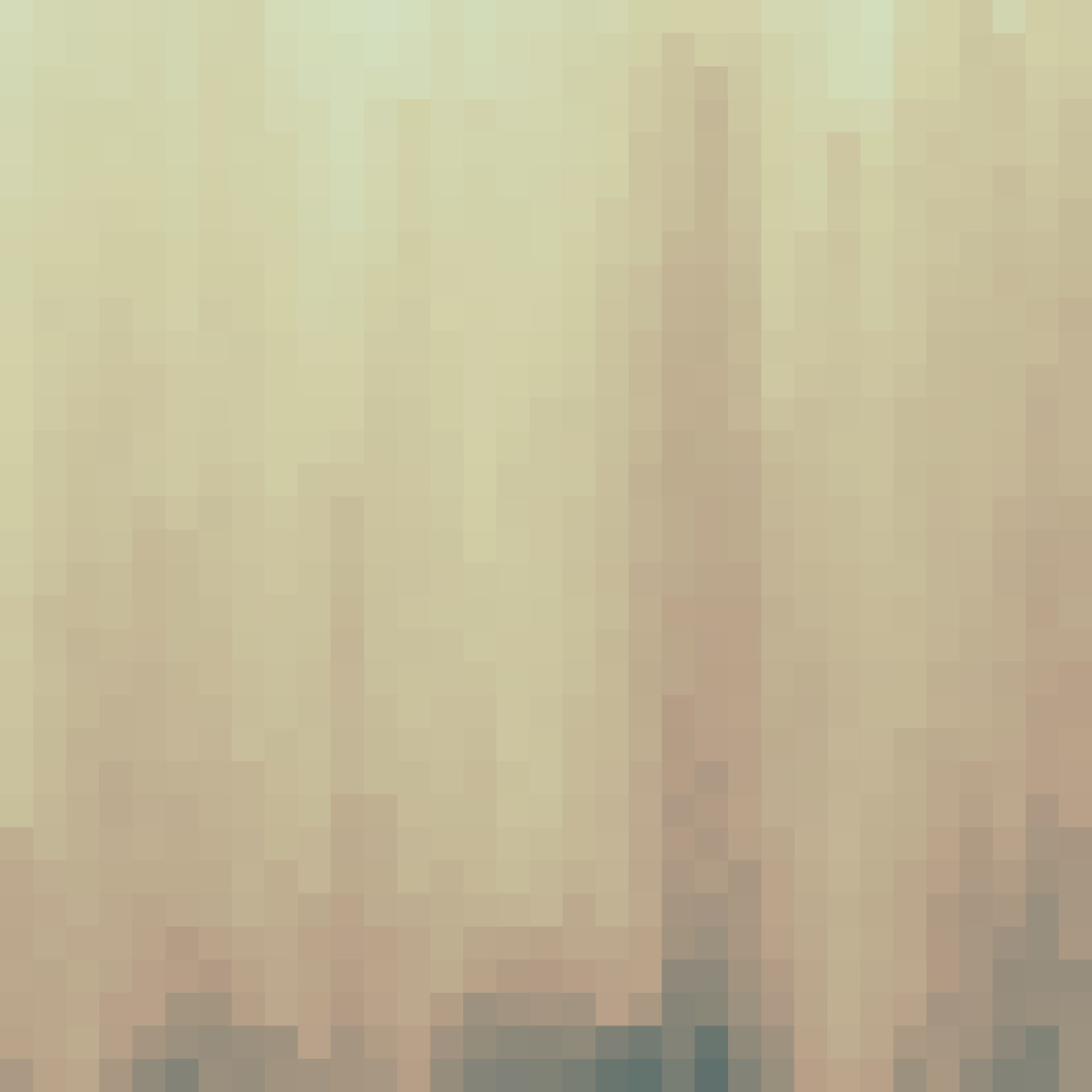 High Tide
