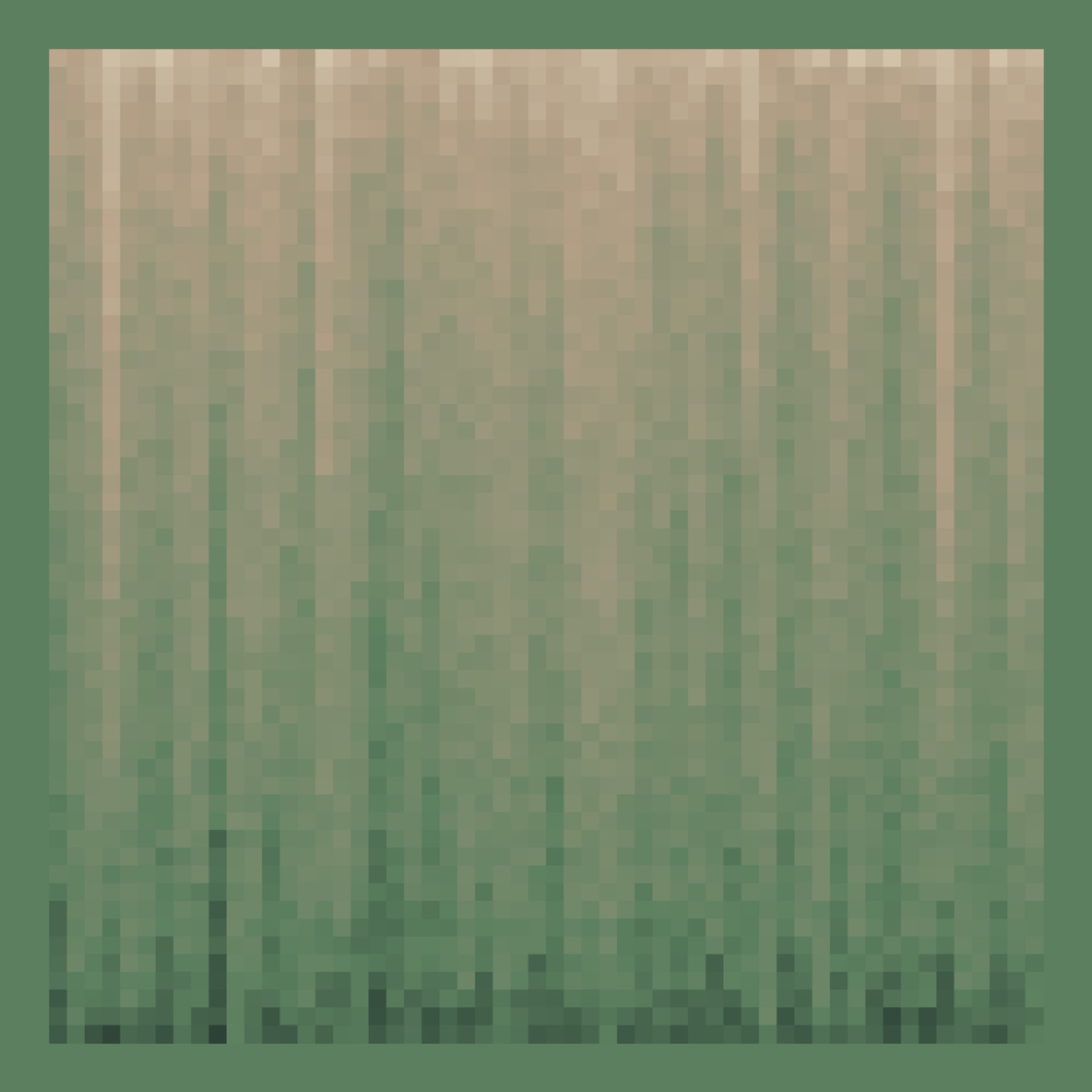 151000355