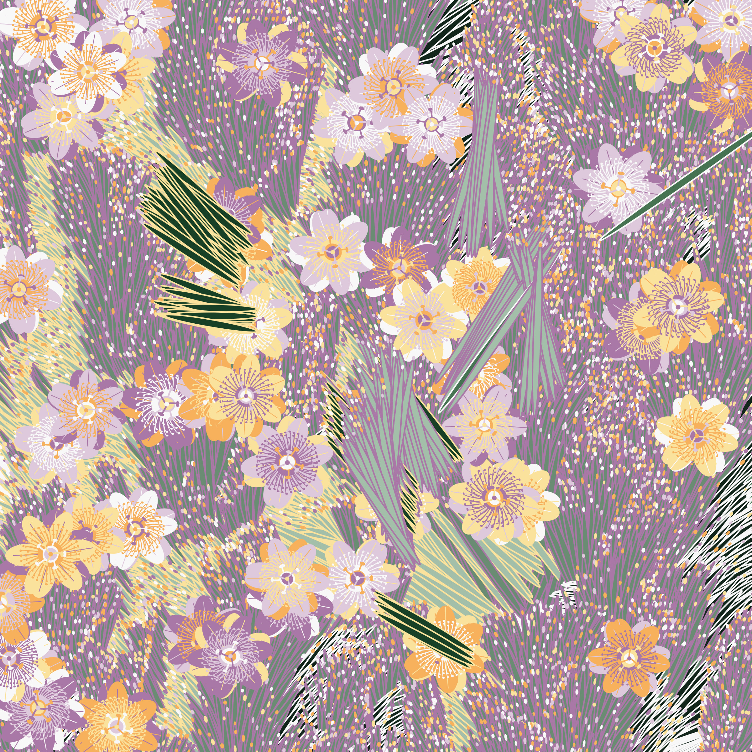 Fragments of an Infinite Field #159000026