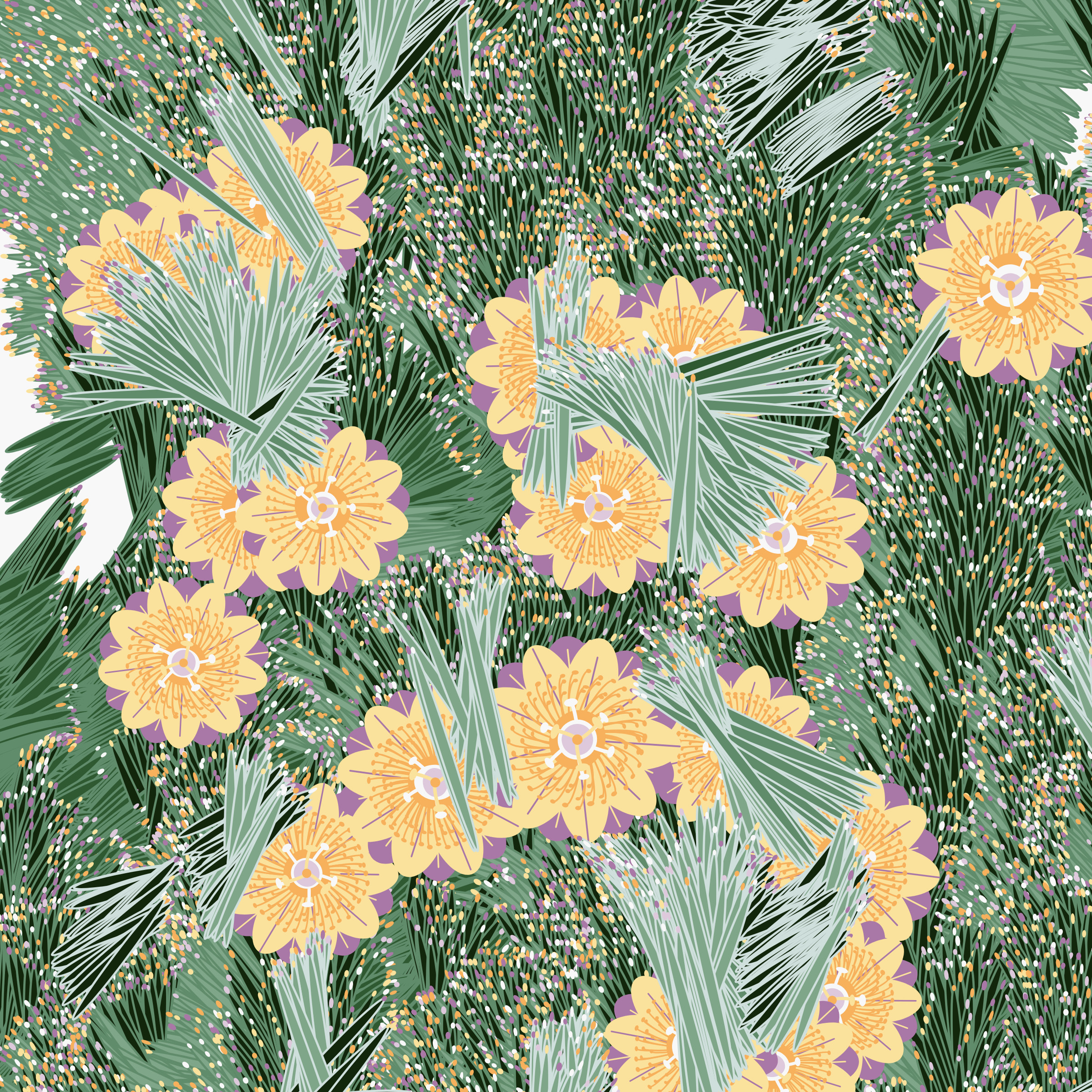 Fragments of an Infinite Field #159000102