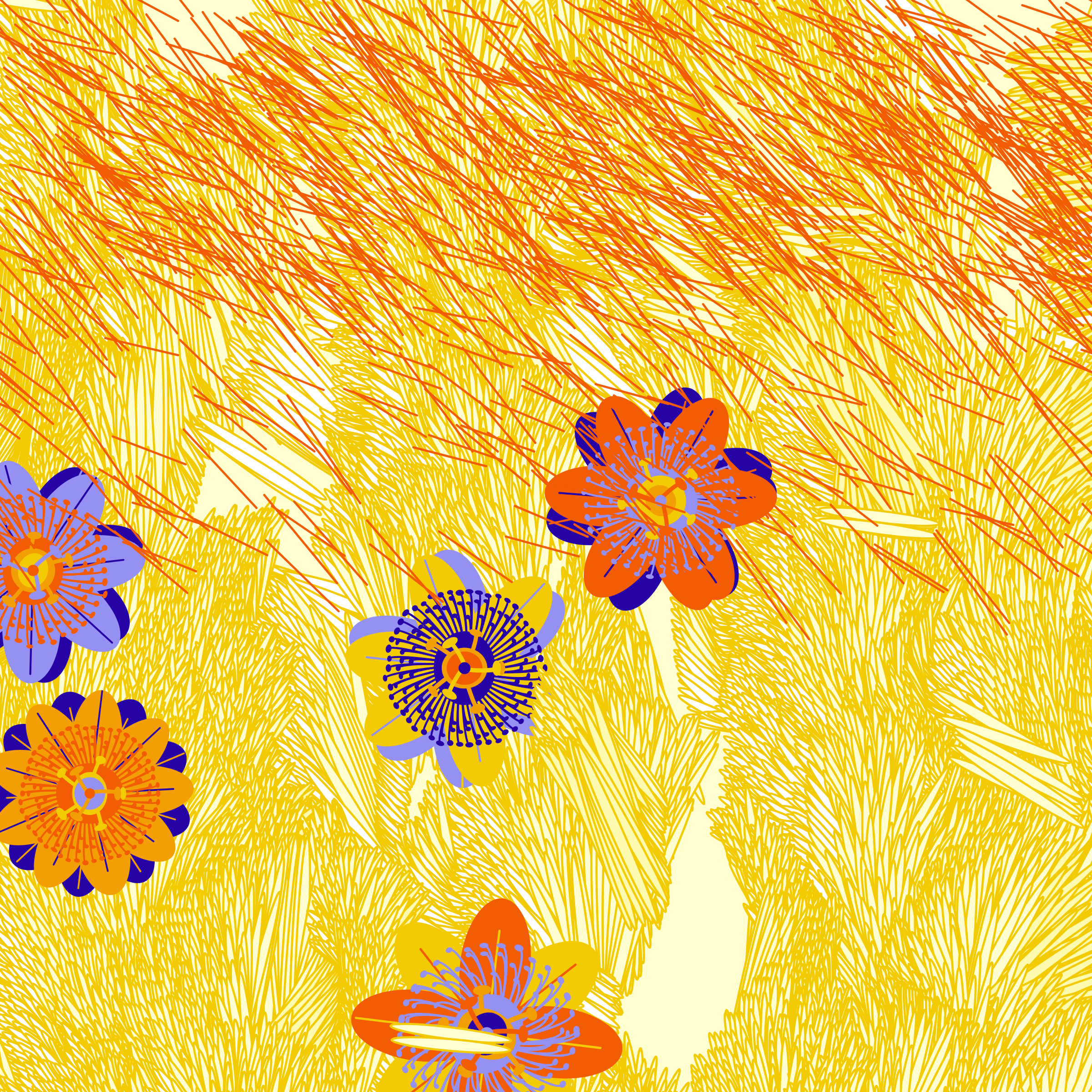 Fragments of an Infinite Field #159000754