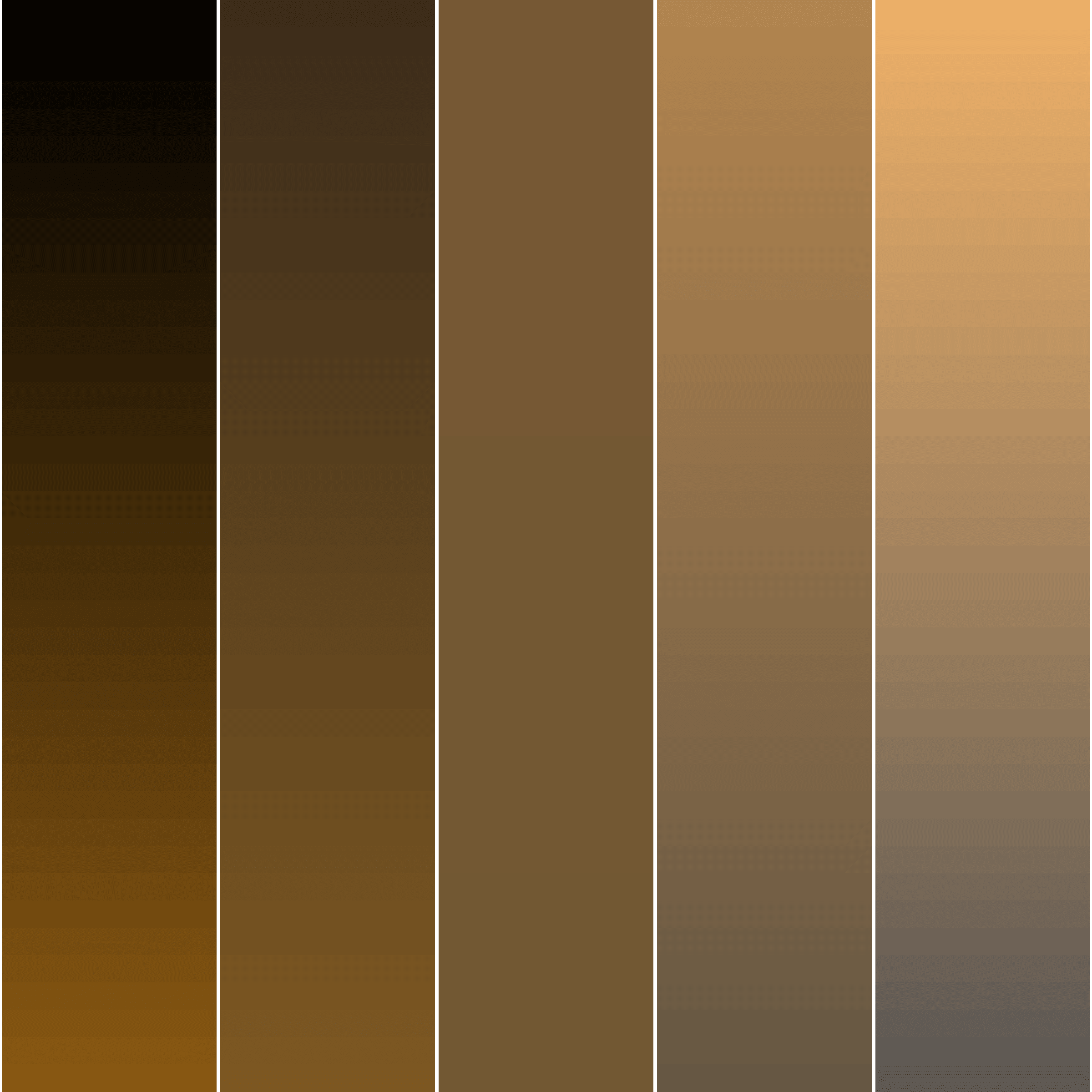 Color Study #16000028