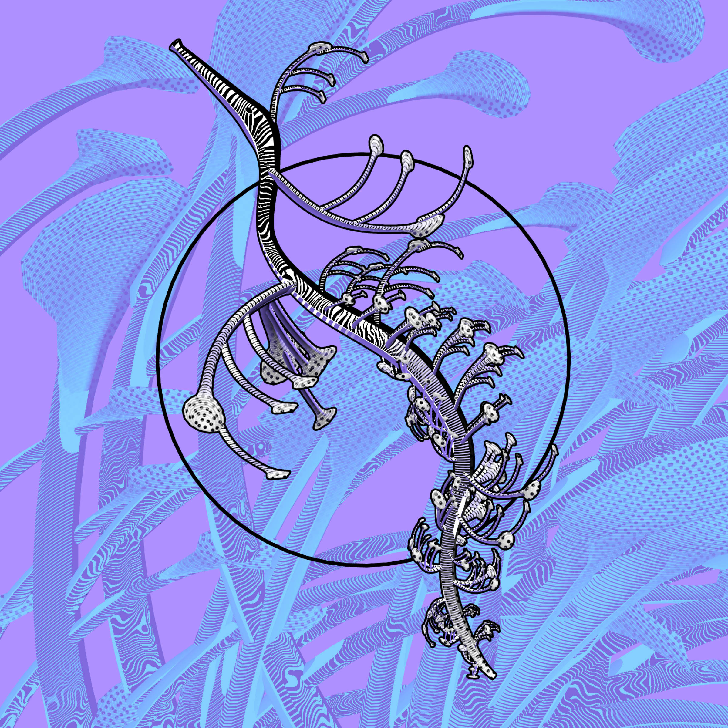 Seadragons preview 1