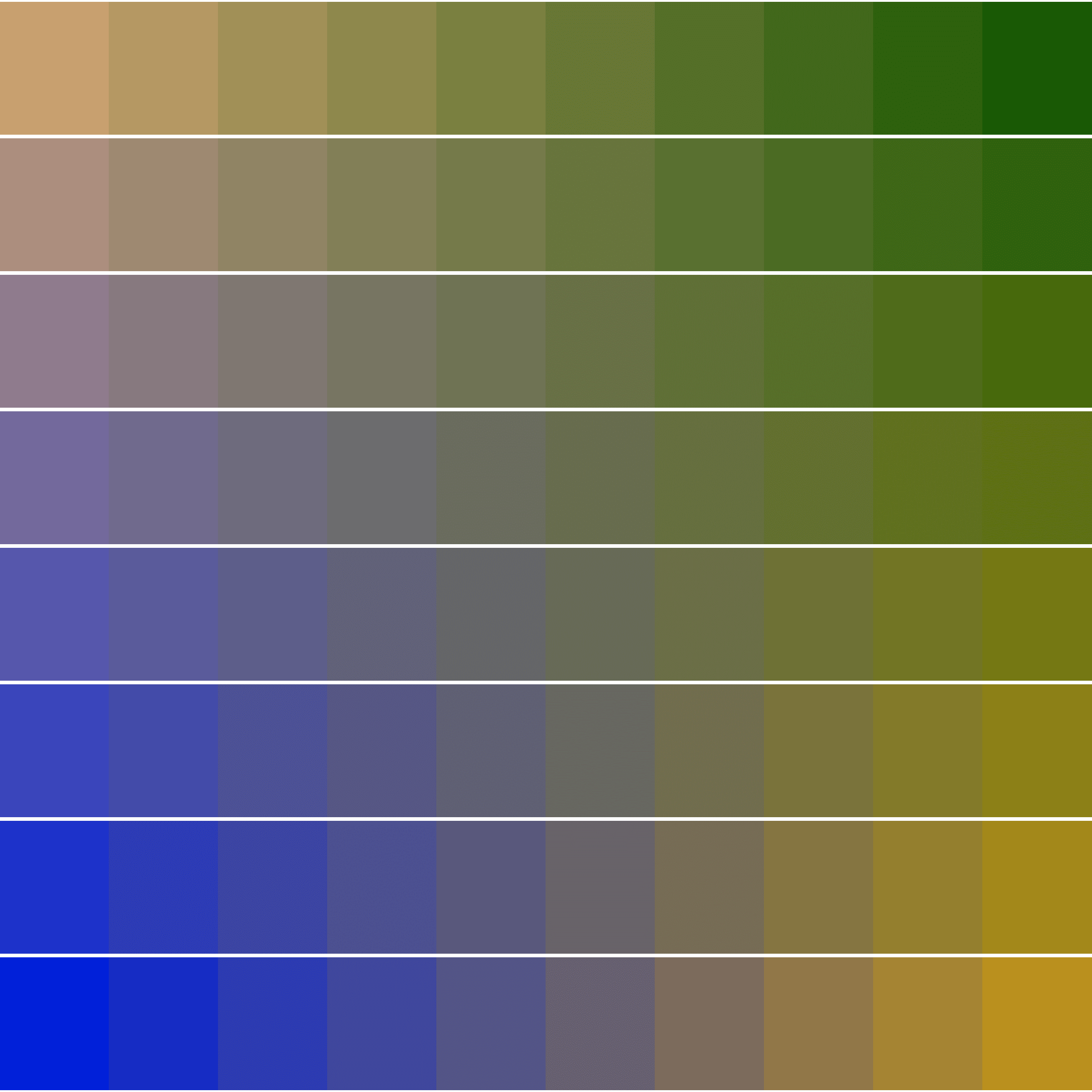 Color Study #16000050