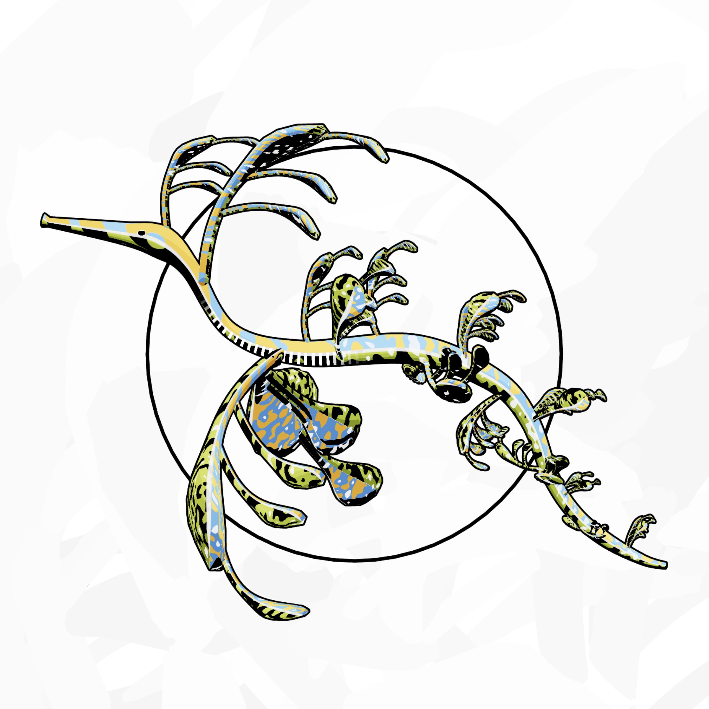 Seadragons