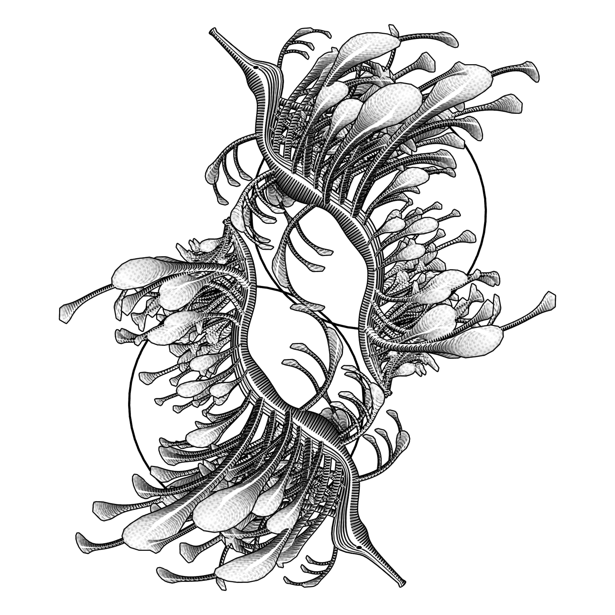 Featured token for: Seadragons