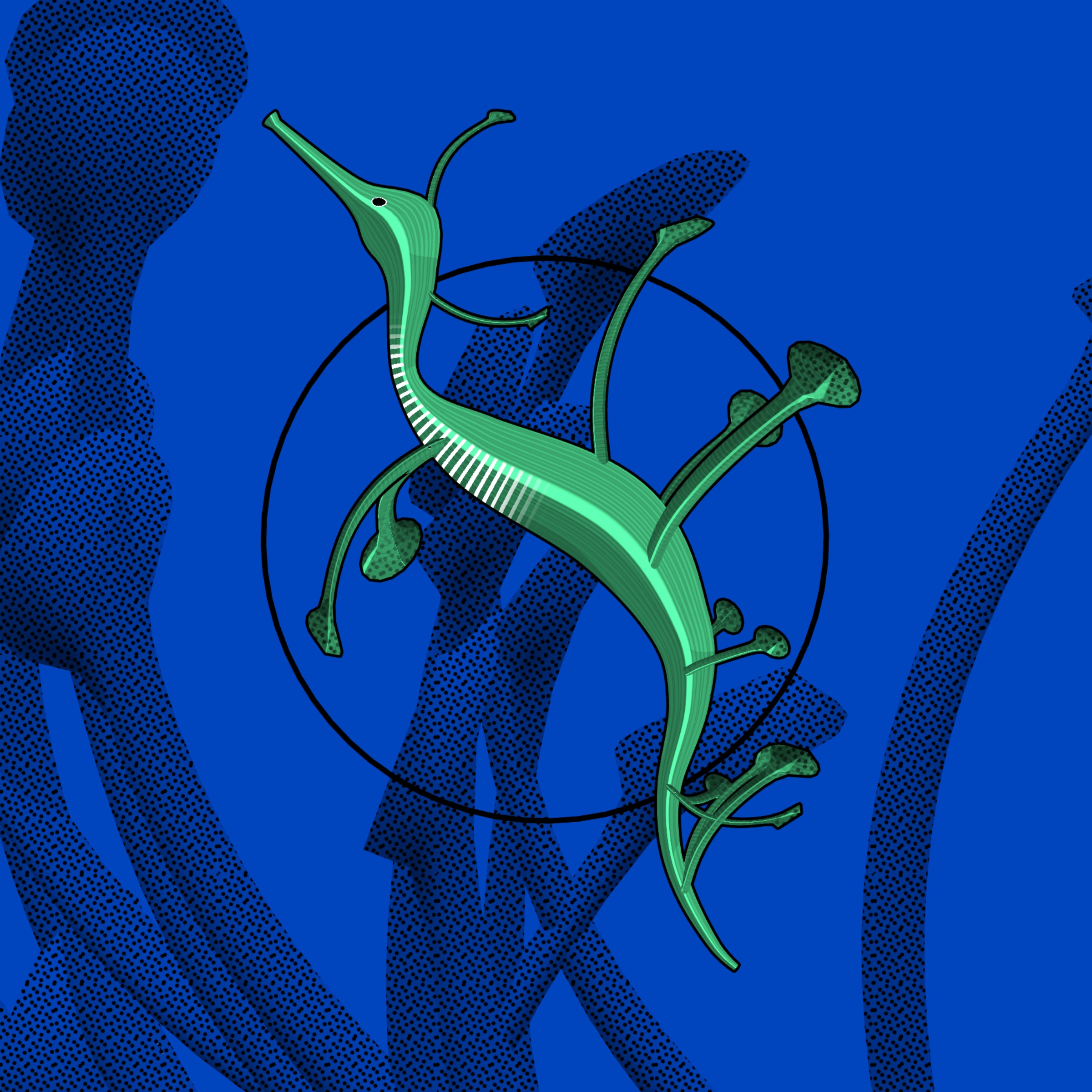 Seadragons