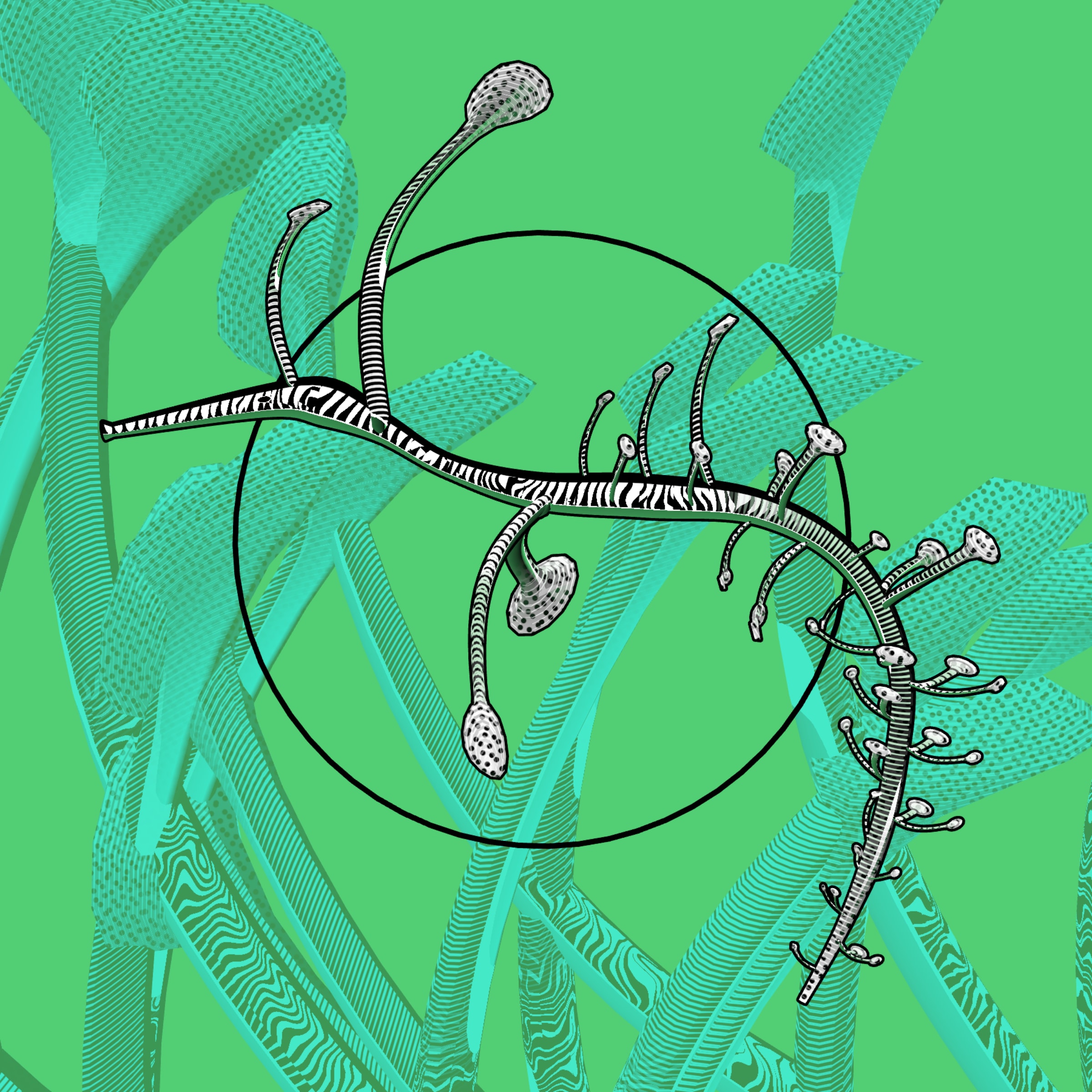 Featured token for: Seadragons