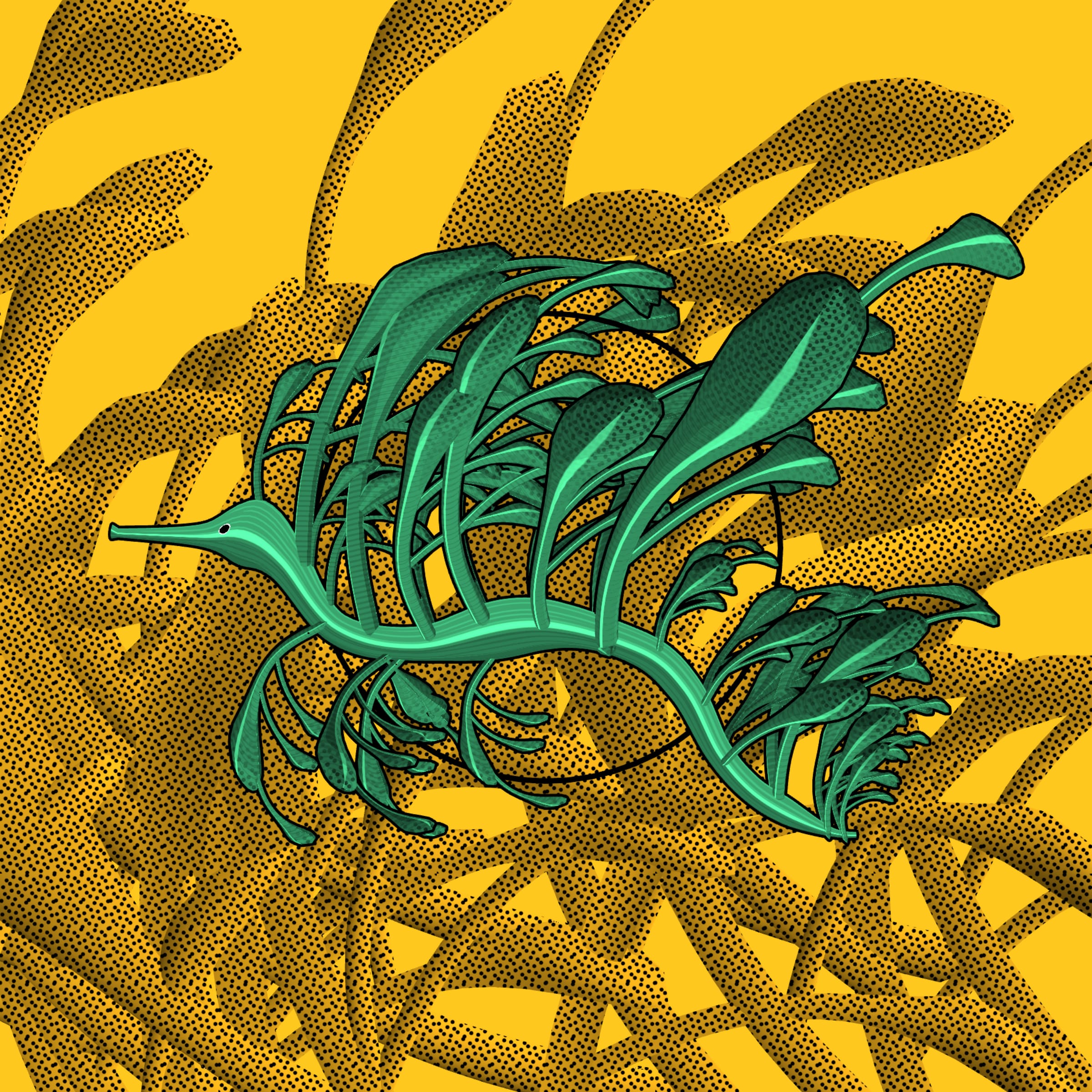 Seadragons