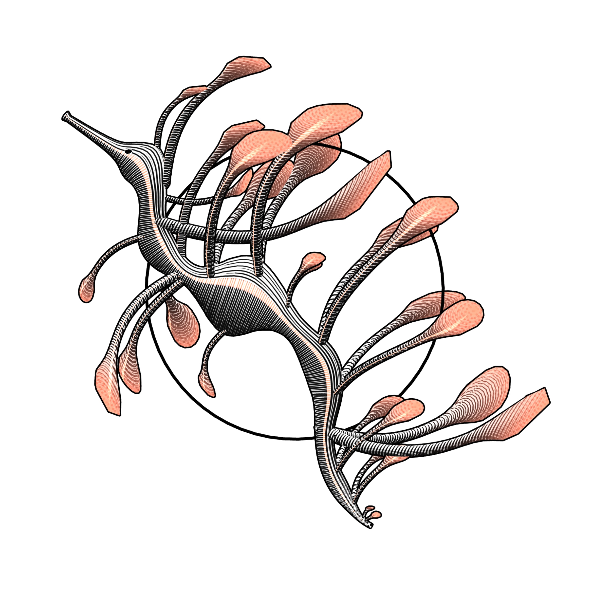 Featured token for: Seadragons