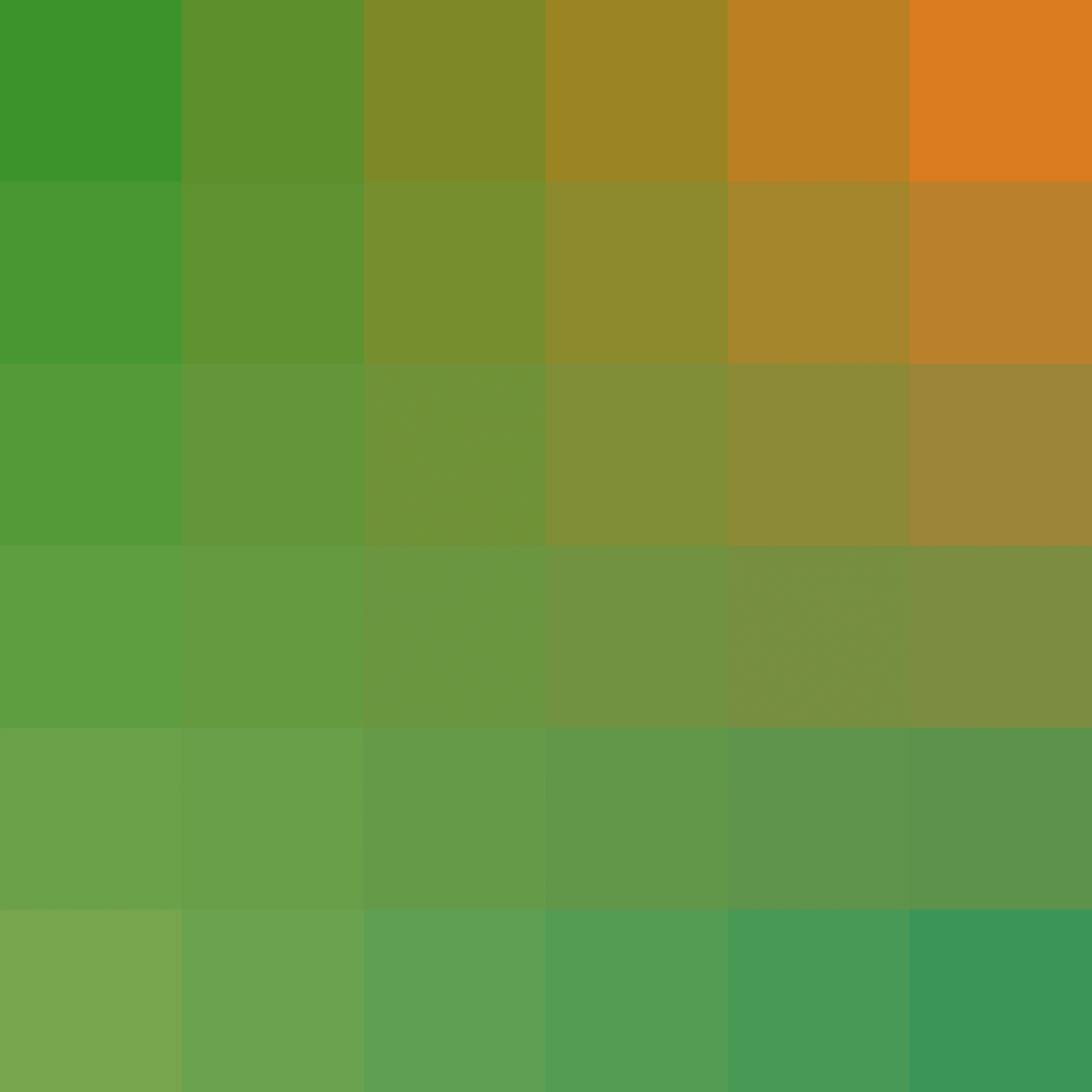 Color Study #16000079