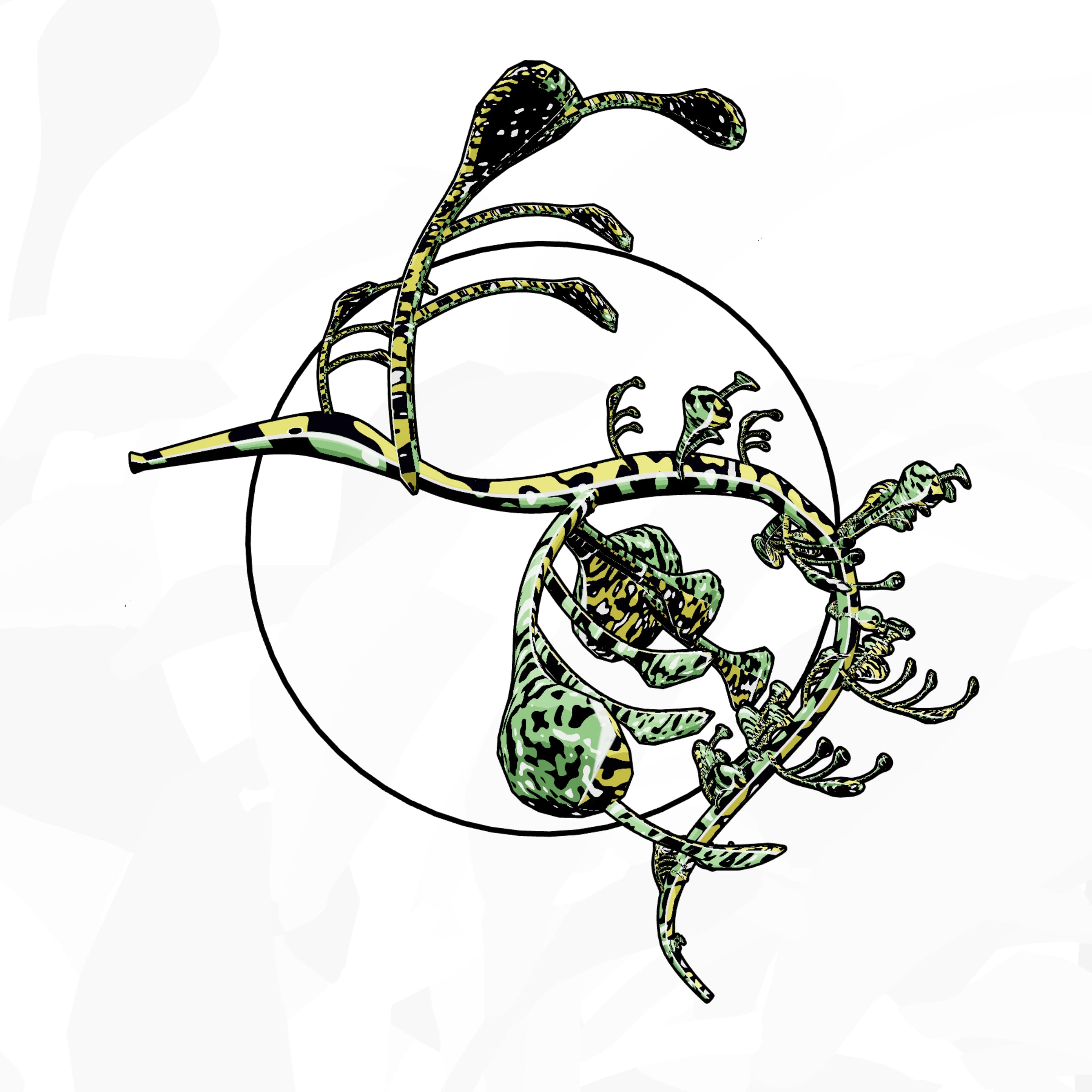 Featured token for: Seadragons