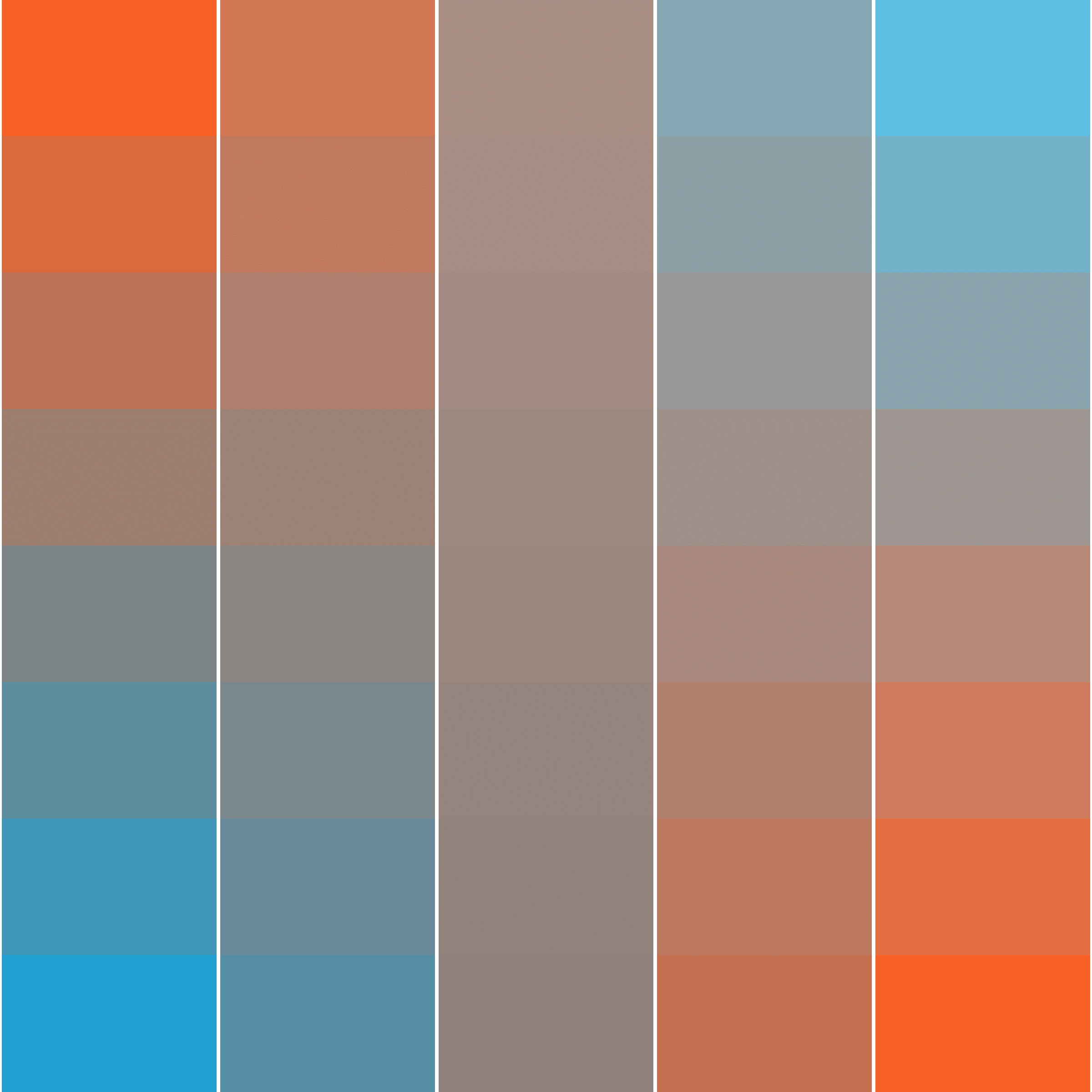 Color Study #16000097