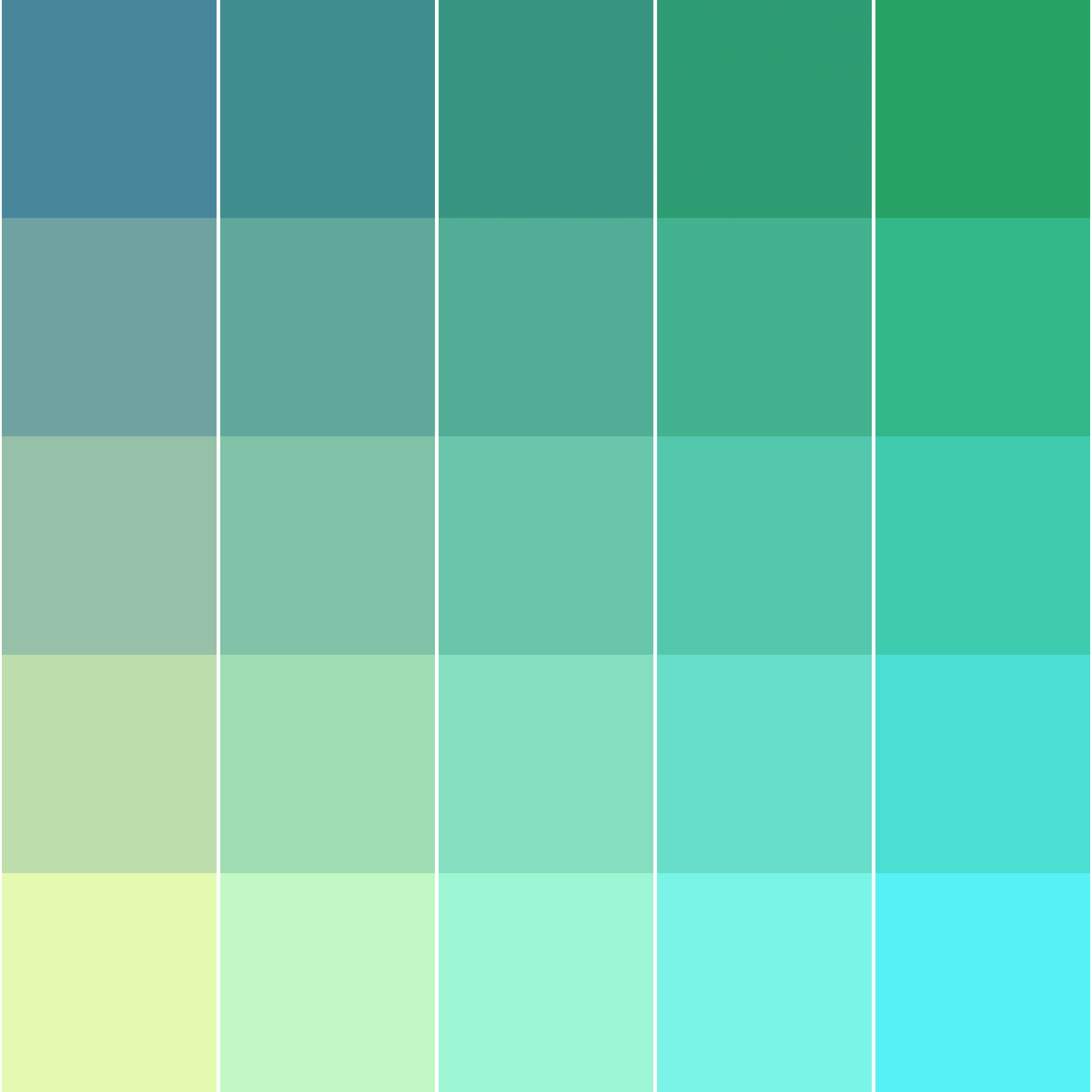 Color Study #16000390