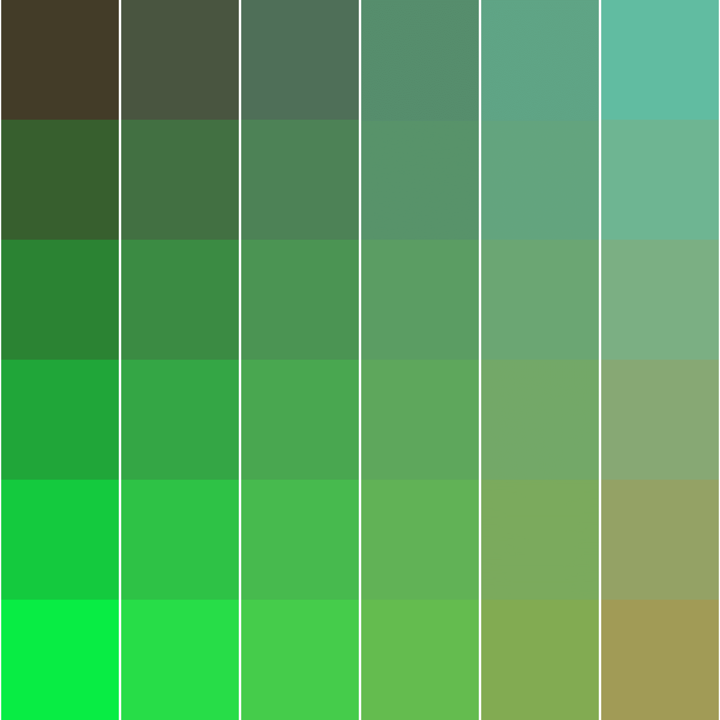 Color Study #16000431