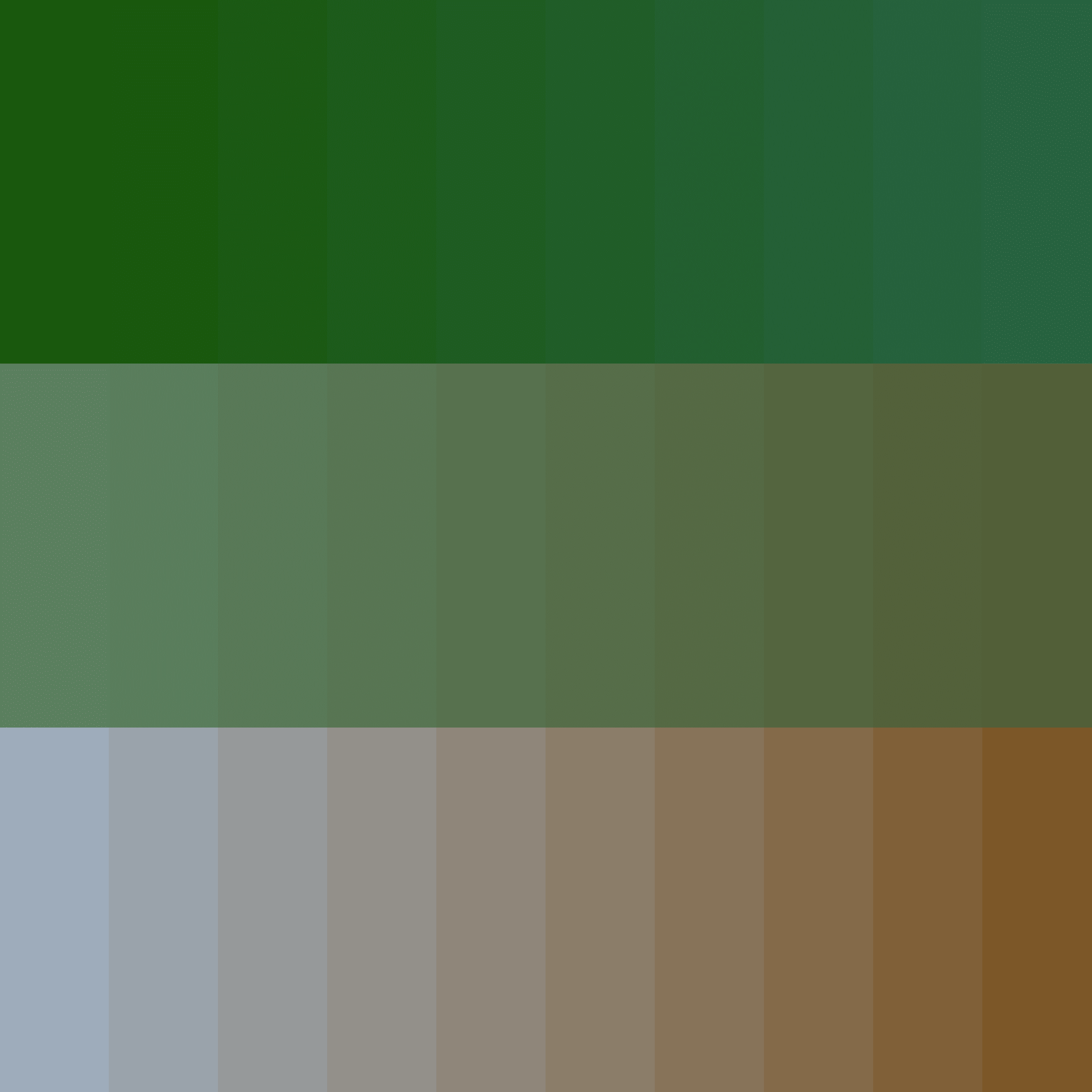 Color Study #16000608