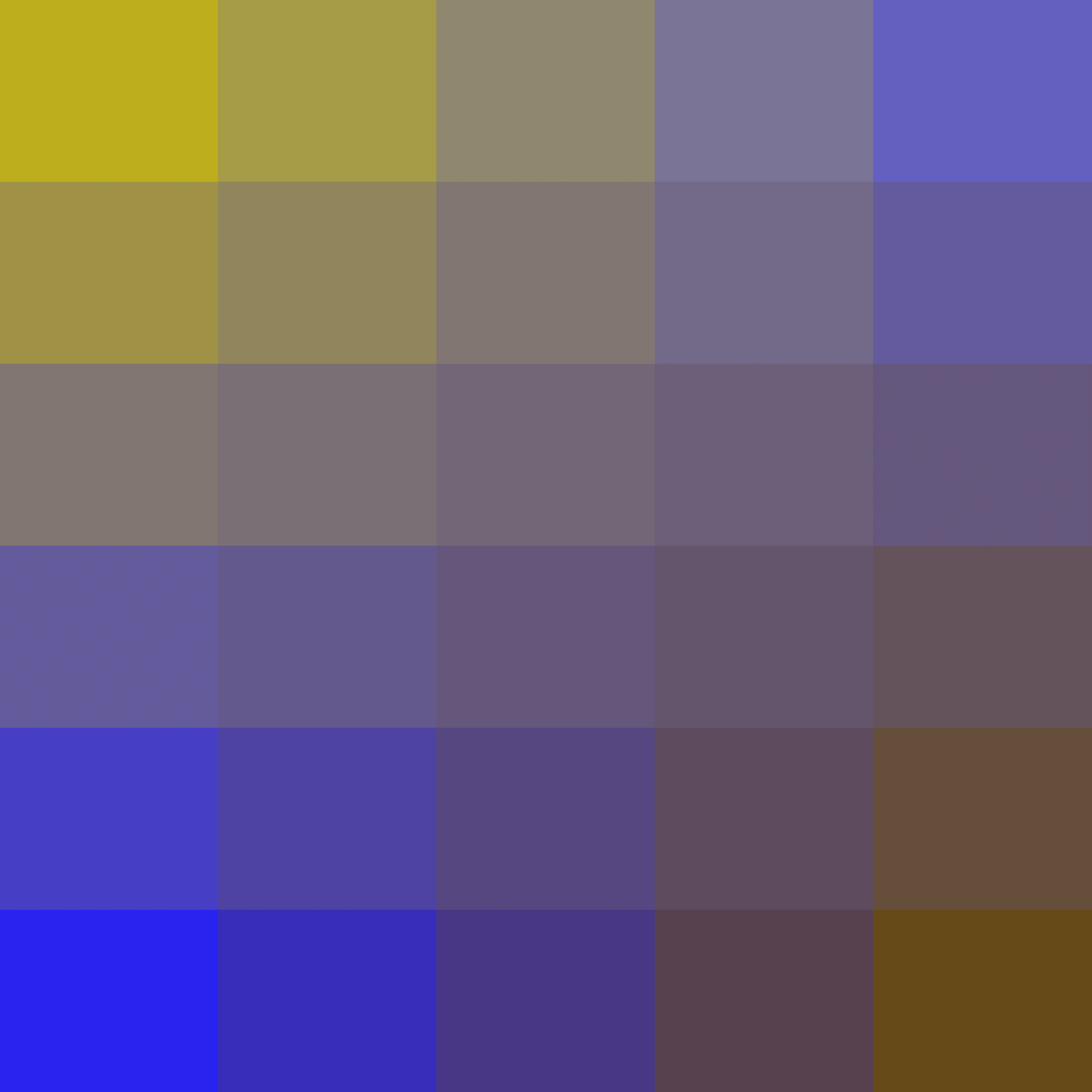 Color Study #16000634
