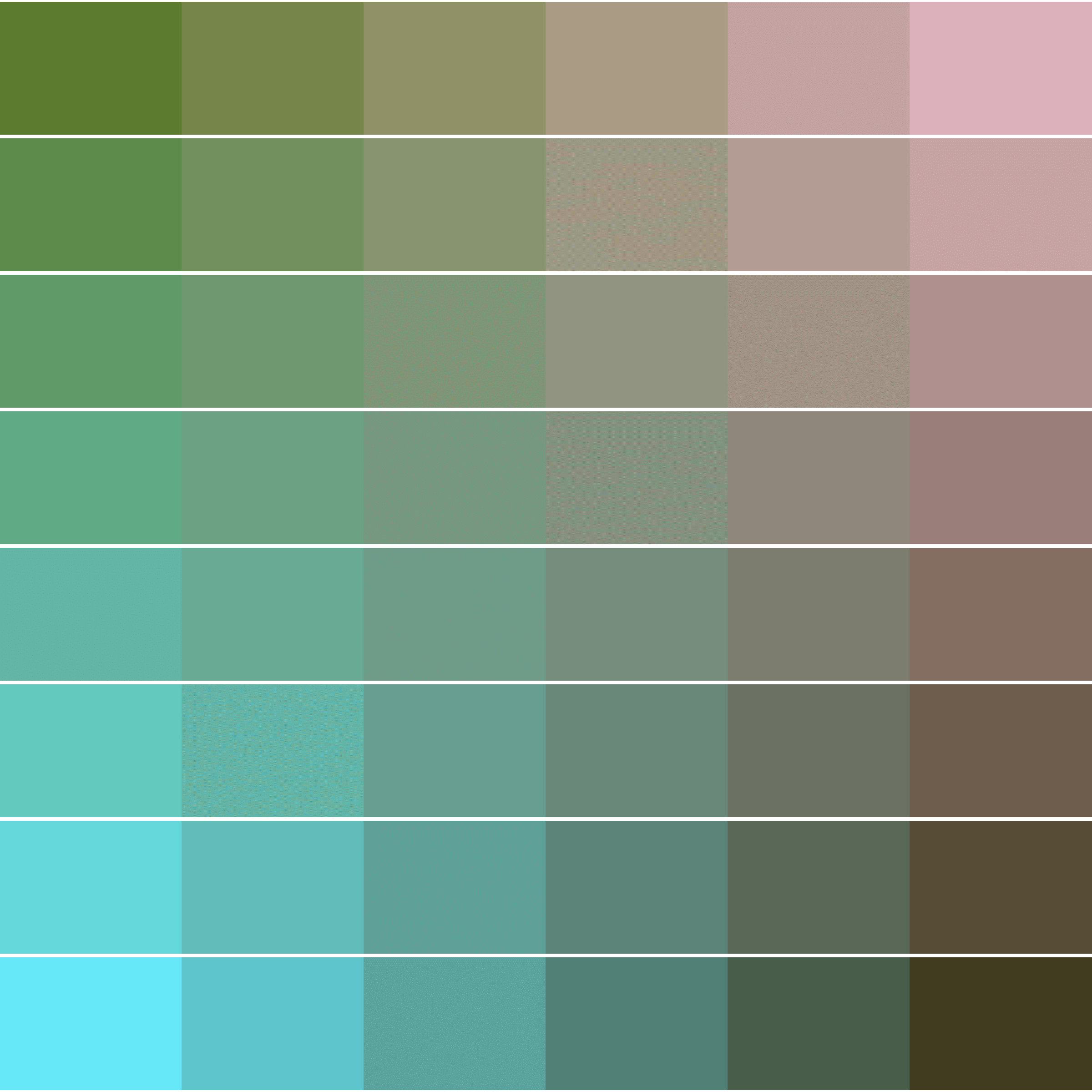 Color Study #16000783