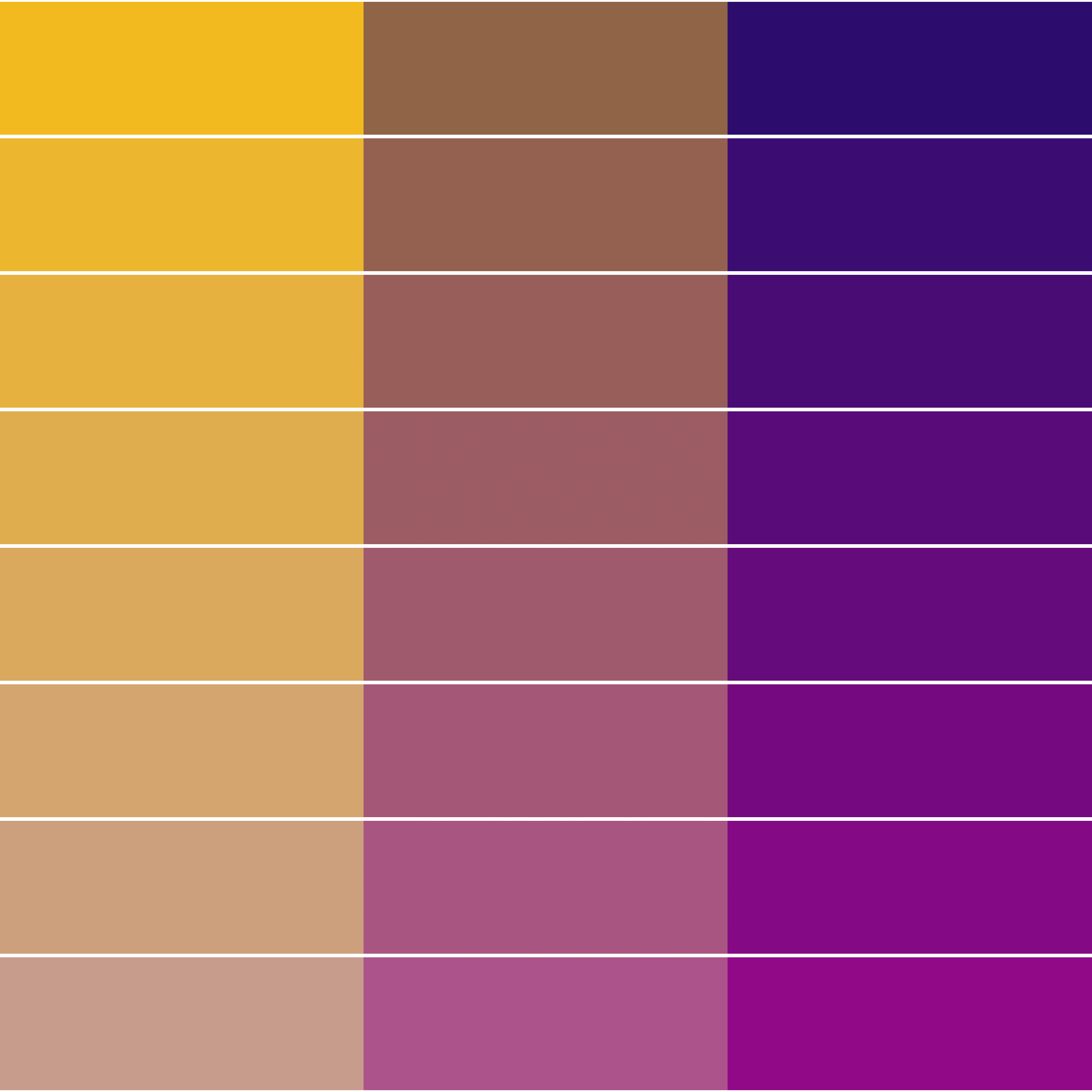 Color Study #16001247