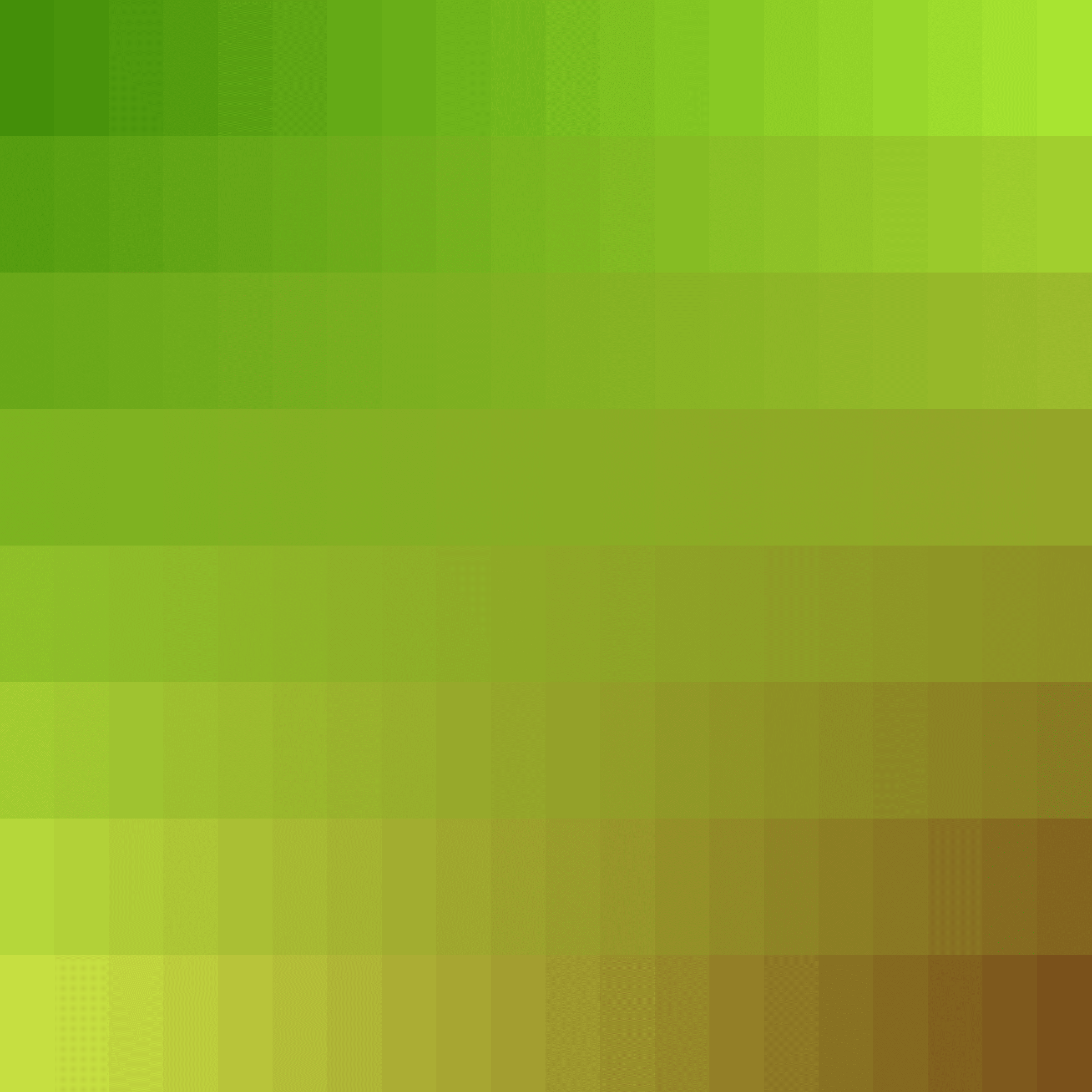 Color Study #16001529