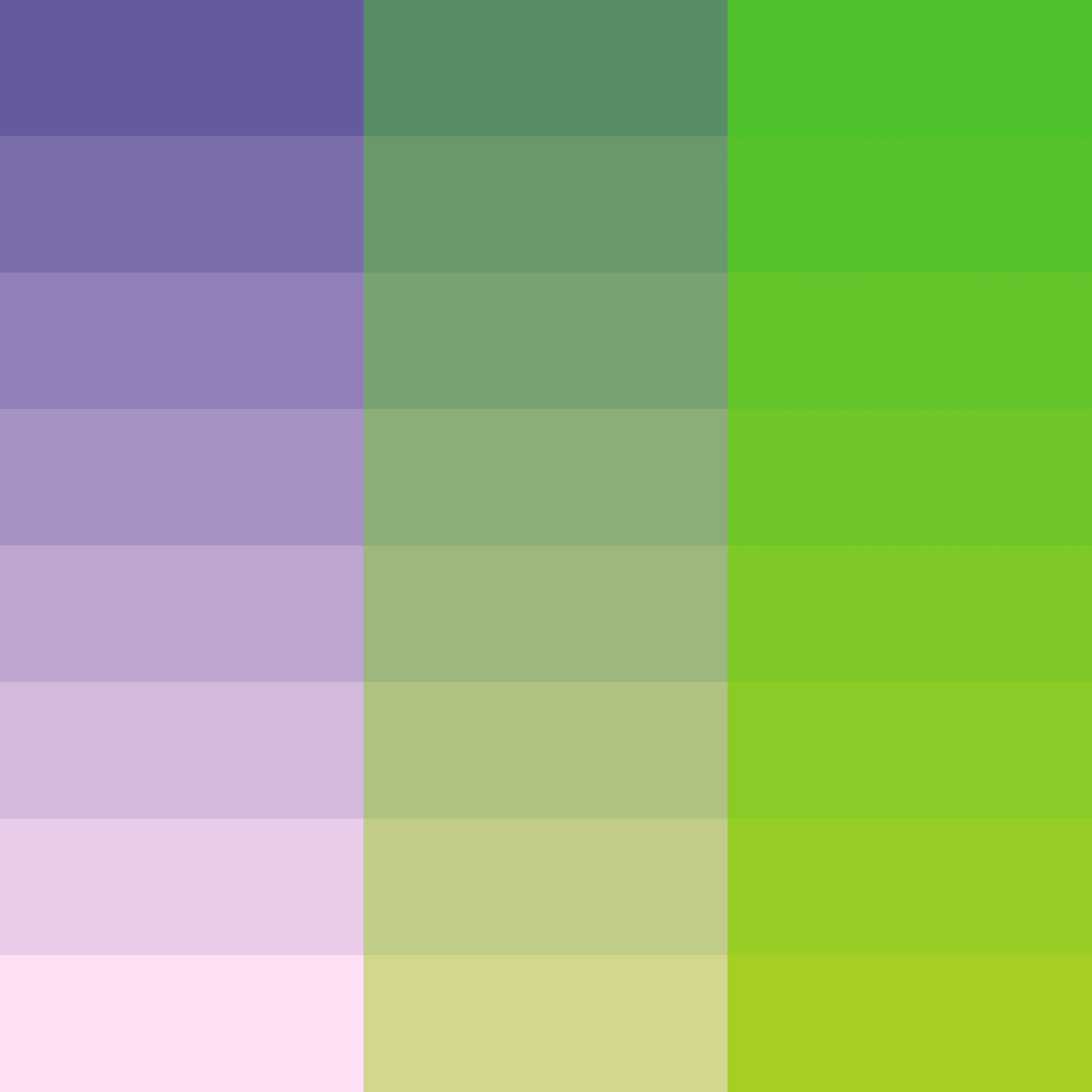 Color Study #16001711