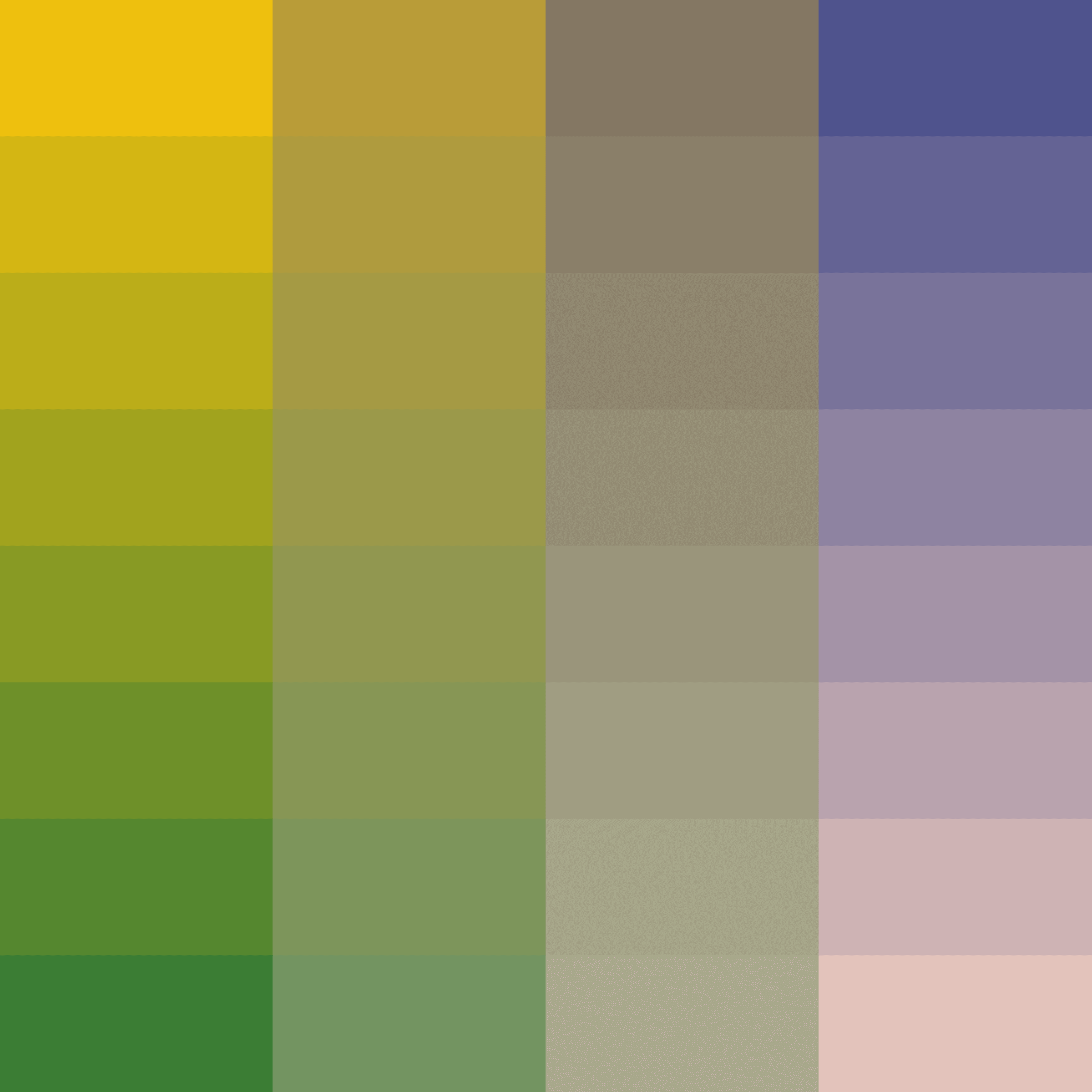 Color Study #16001826