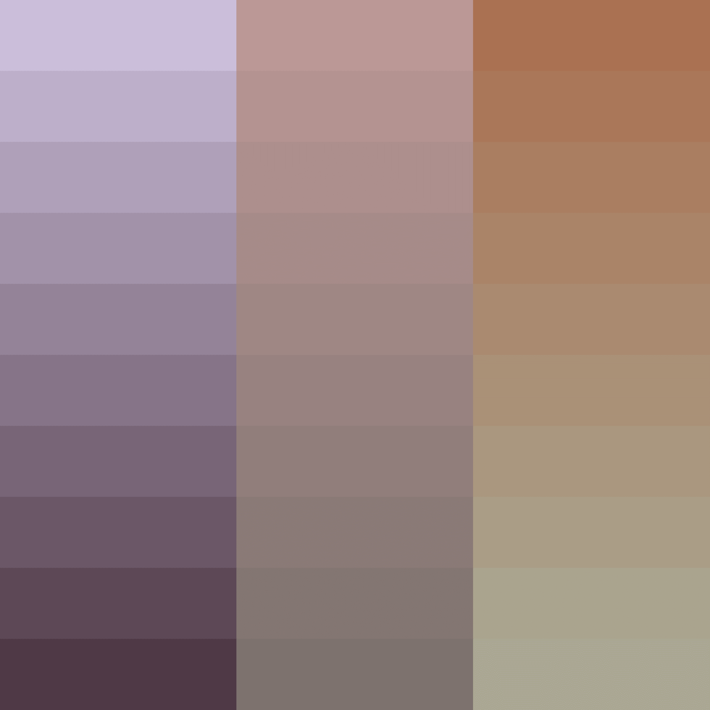 Color Study #16001908