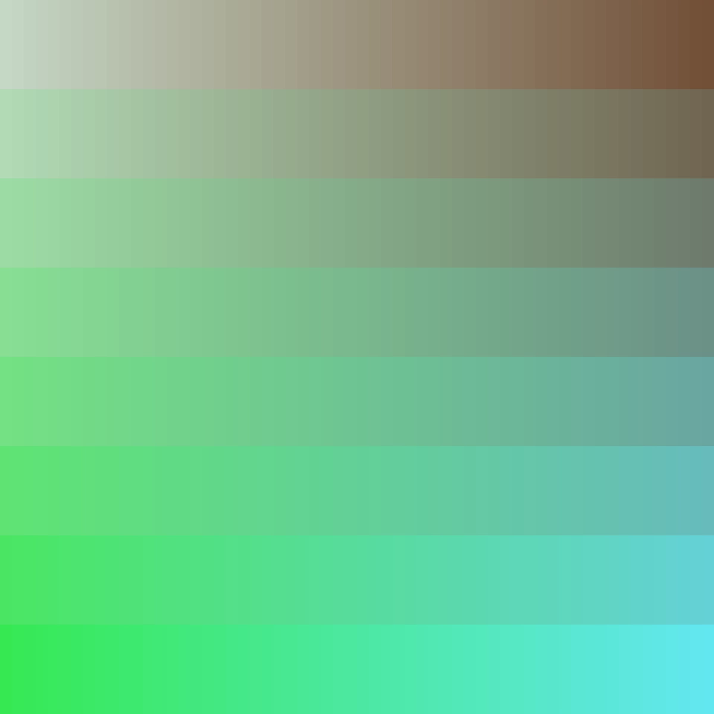 Color Study #16001957