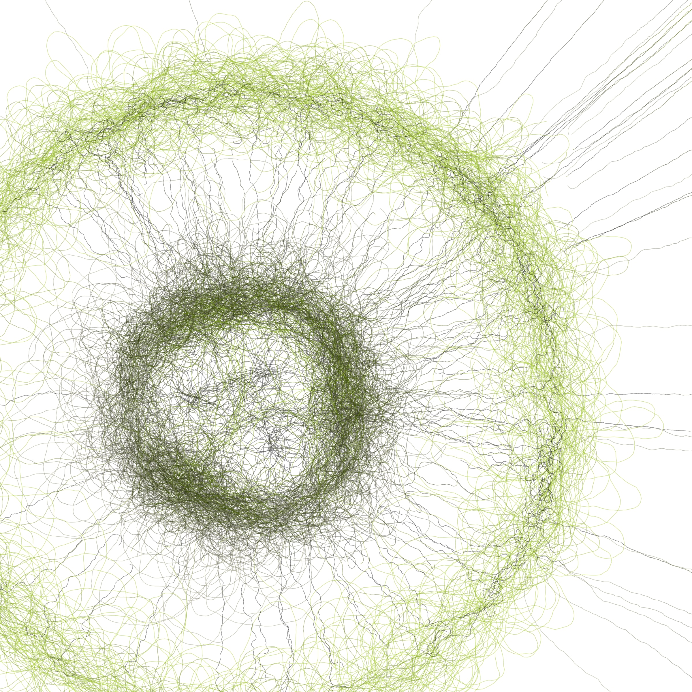 Featured token for: Phototaxis