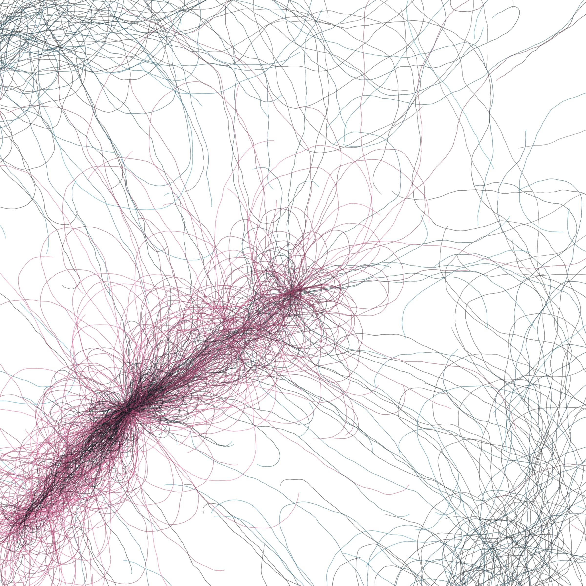 Featured token for: Phototaxis