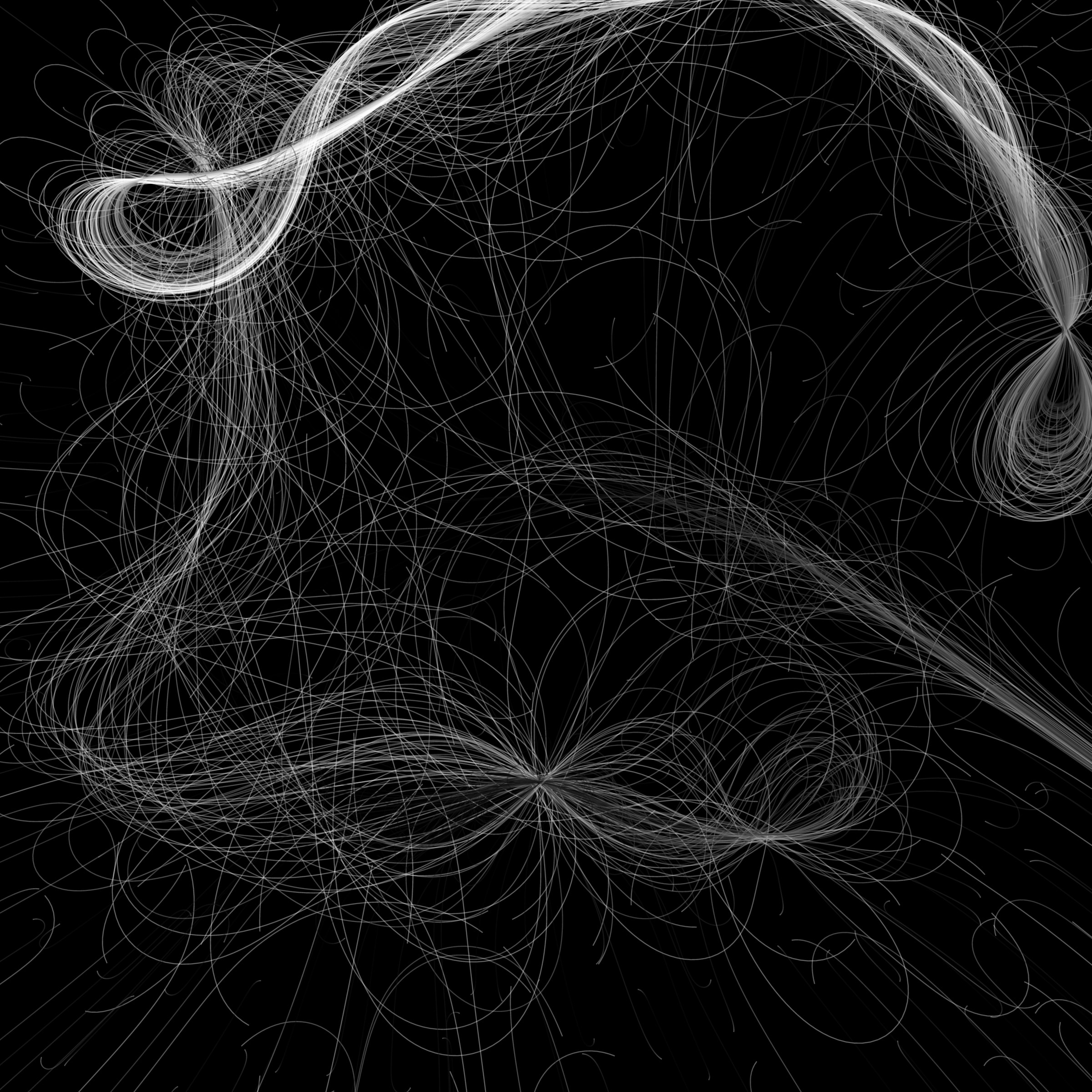 Featured token for: Phototaxis