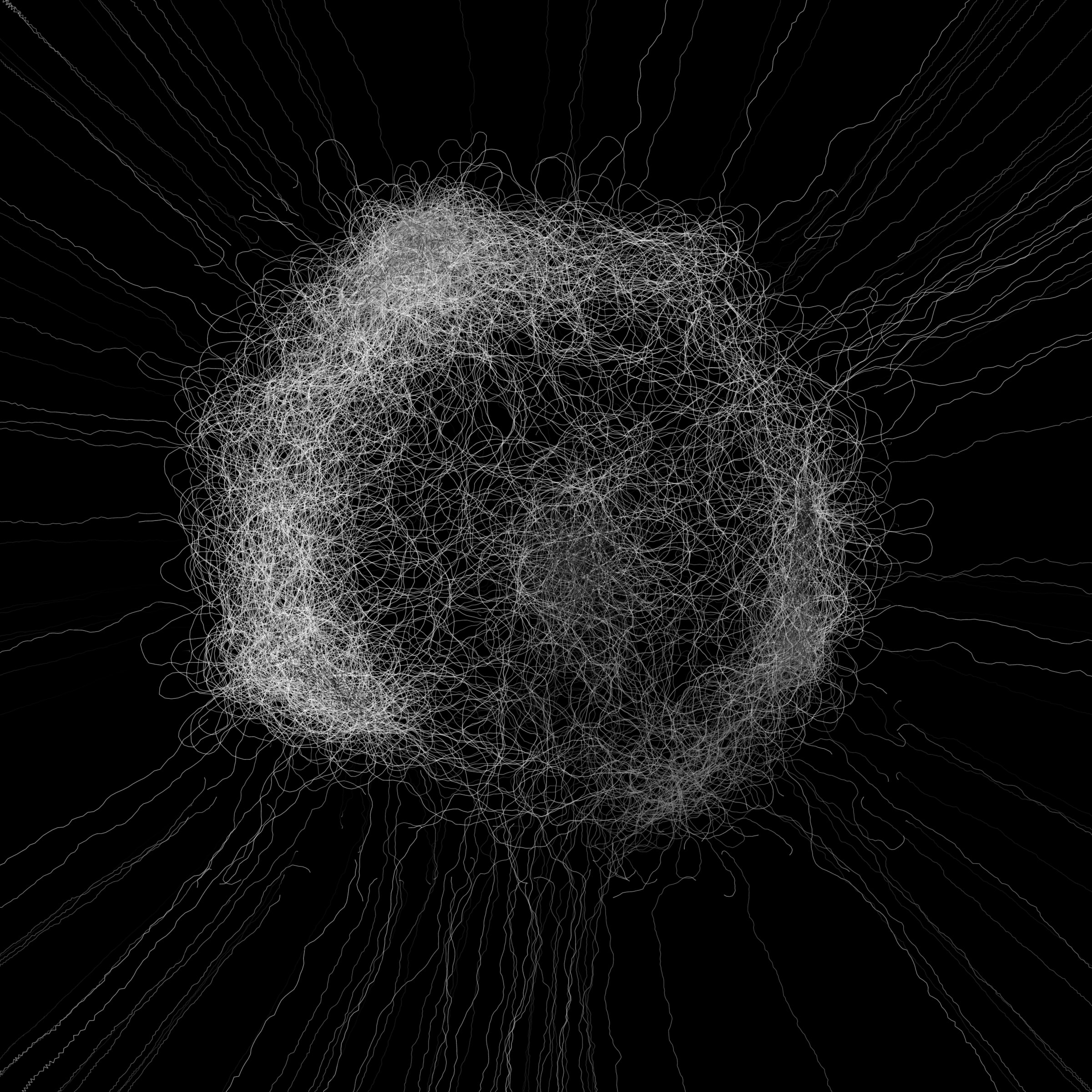 Featured token for: Phototaxis