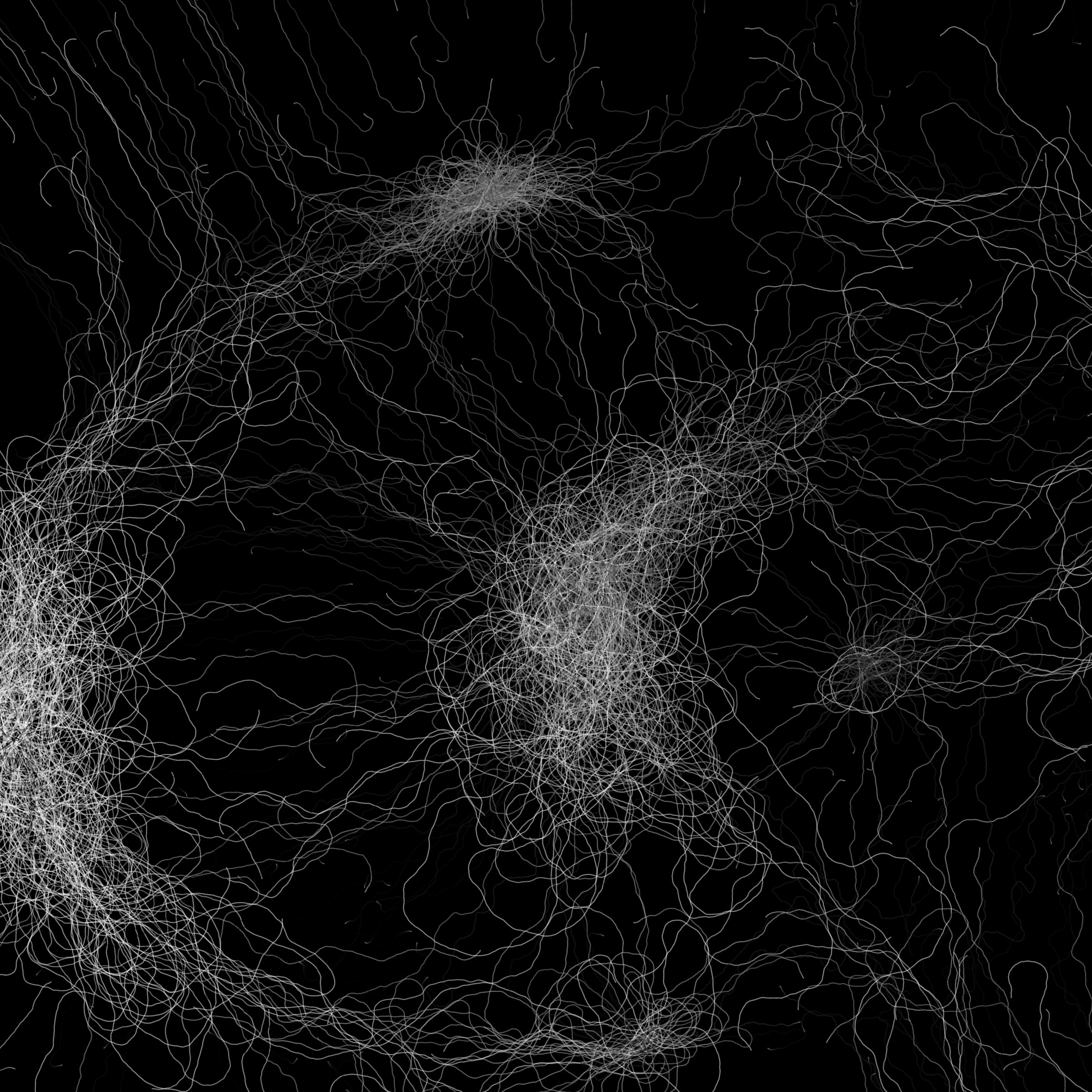 Phototaxis