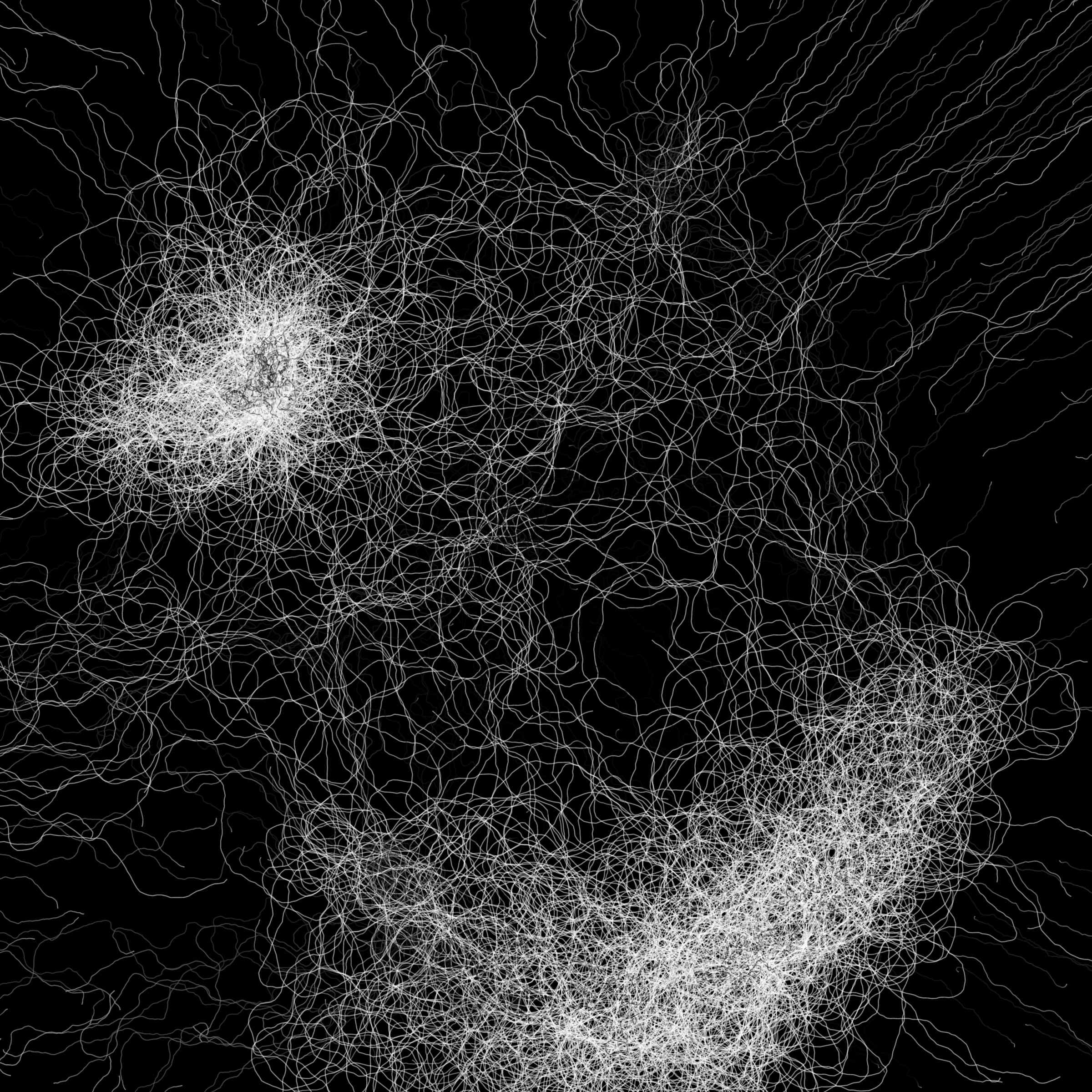 Featured token for: Phototaxis