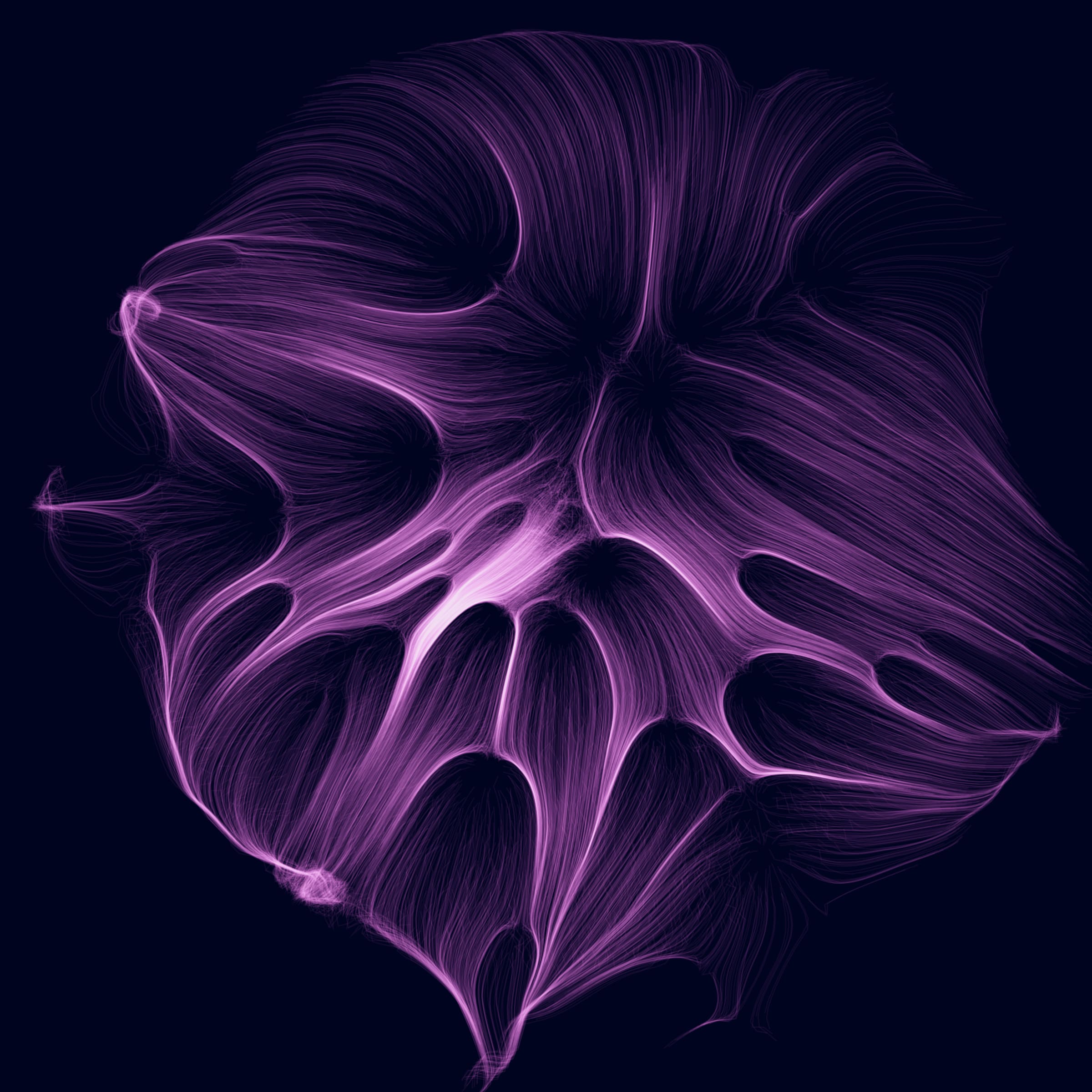 Featured token for: Gravity 16