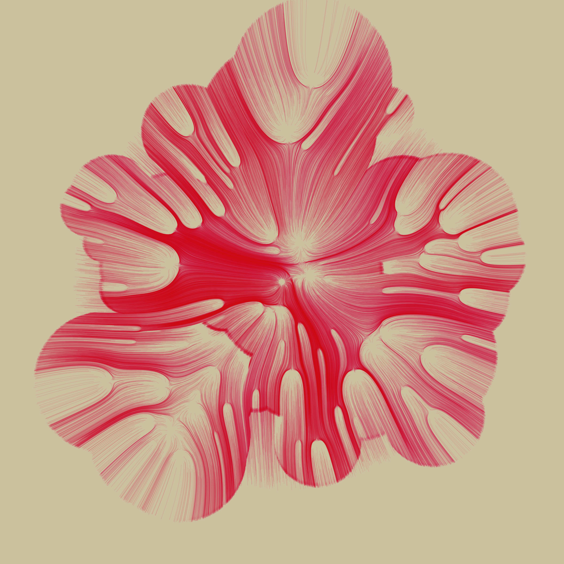 Featured token for: Gravity 16 #552