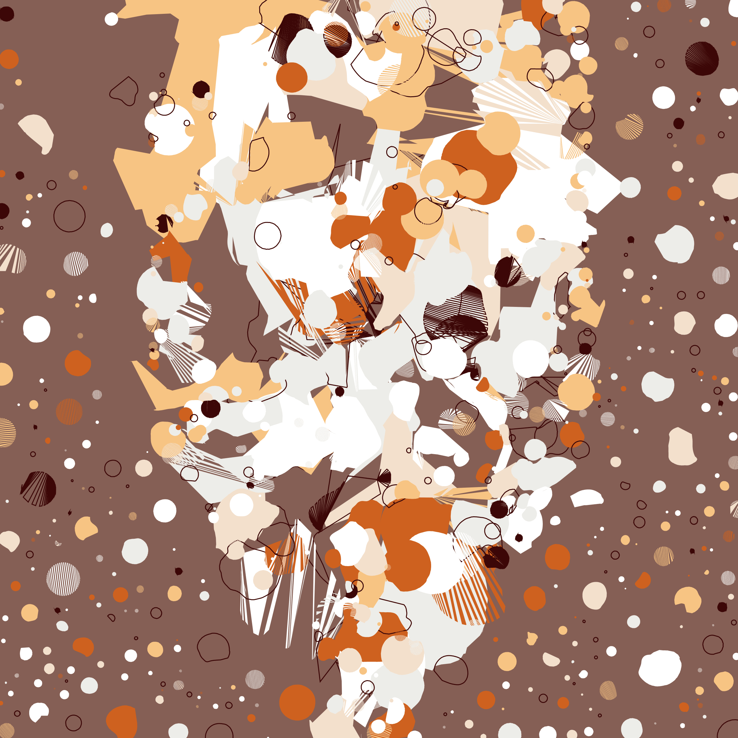 Coquina #198000051