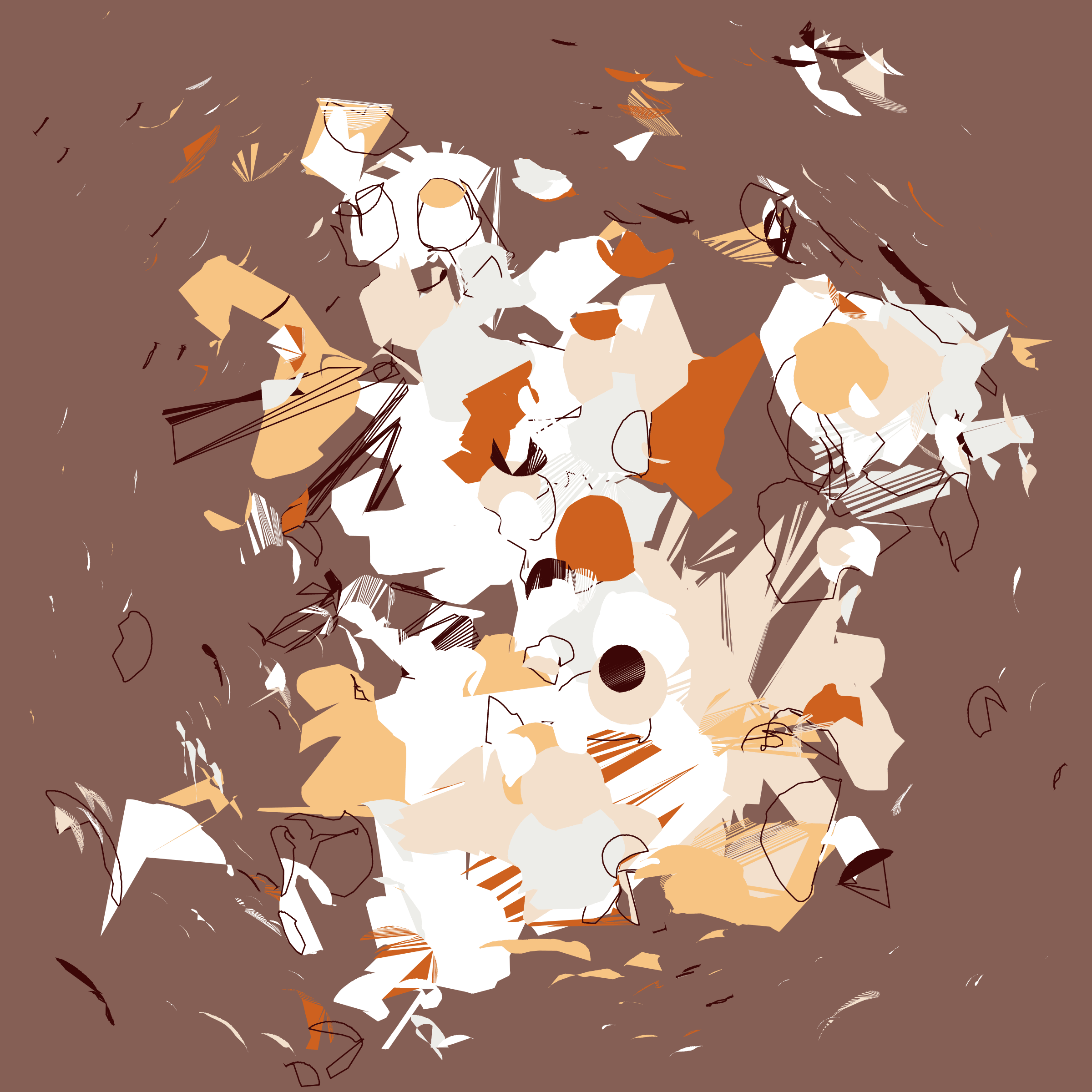 Coquina #198000349