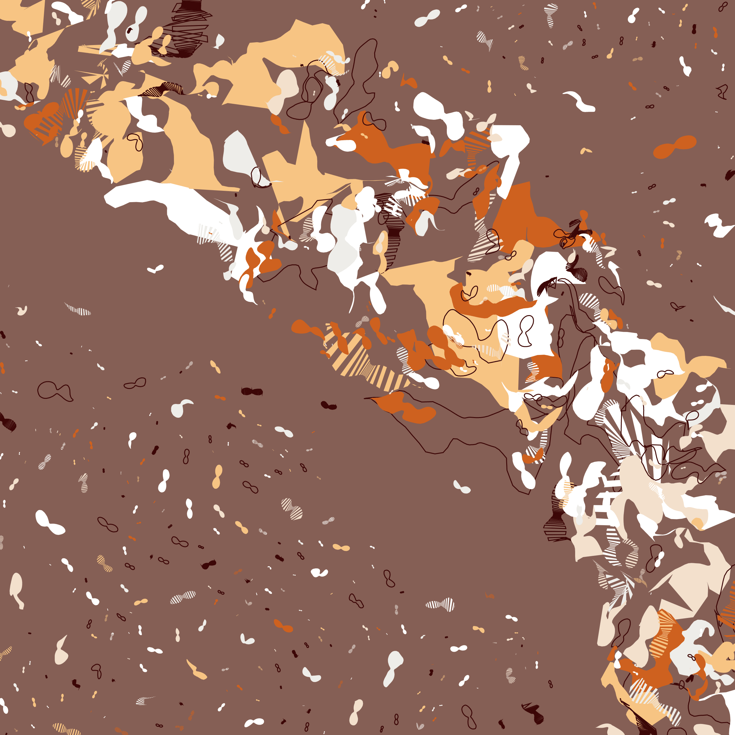 Coquina #198000382